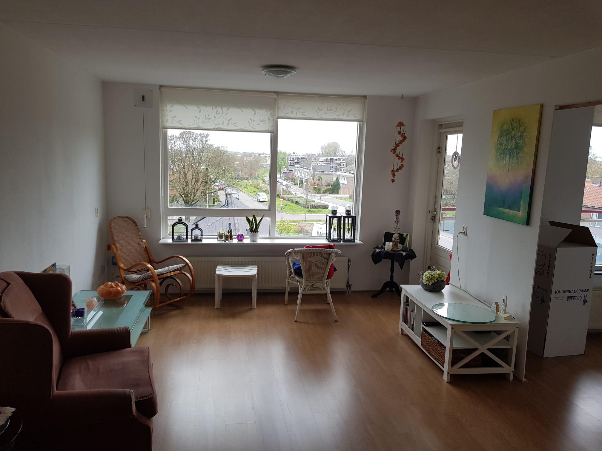 Van Het Hoffplantsoen 91