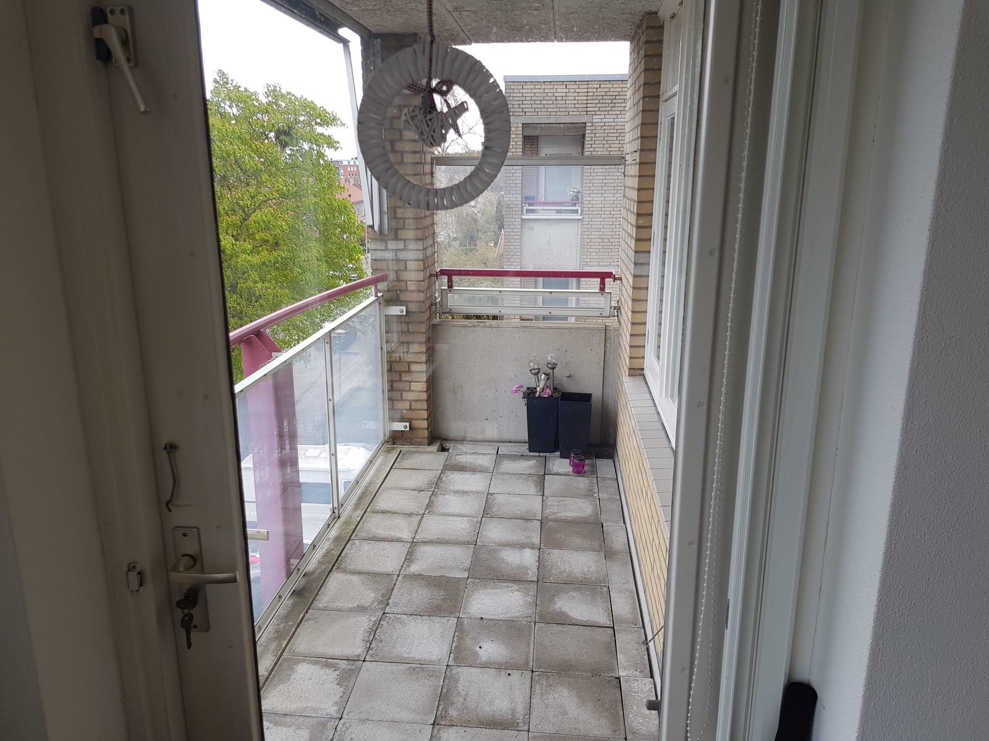 Van Het Hoffplantsoen 91