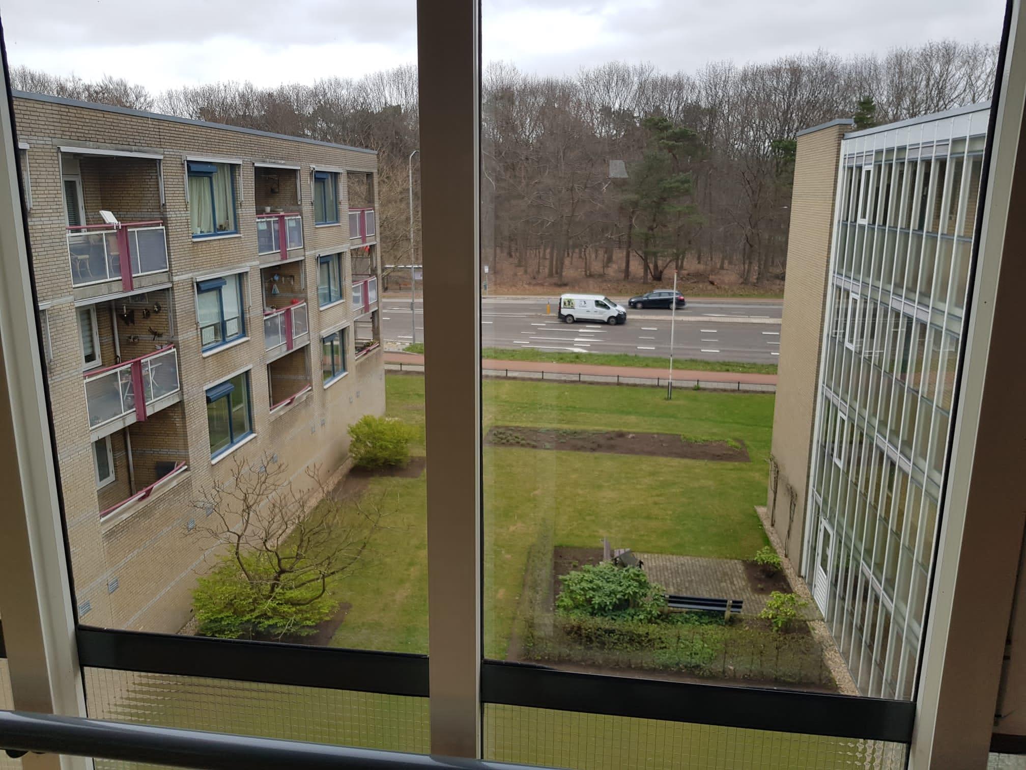 Van Het Hoffplantsoen 91