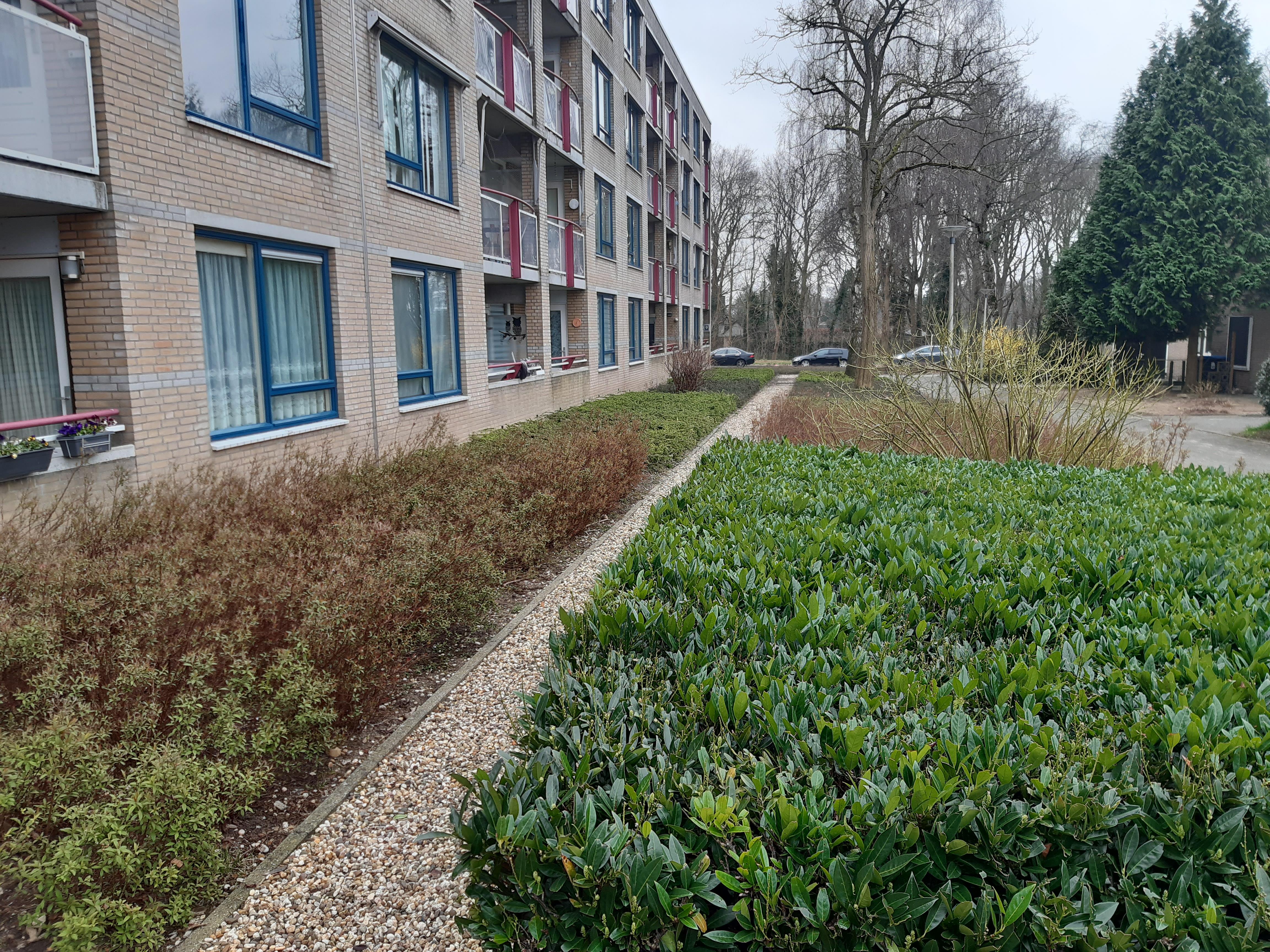 Van Het Hoffplantsoen 13