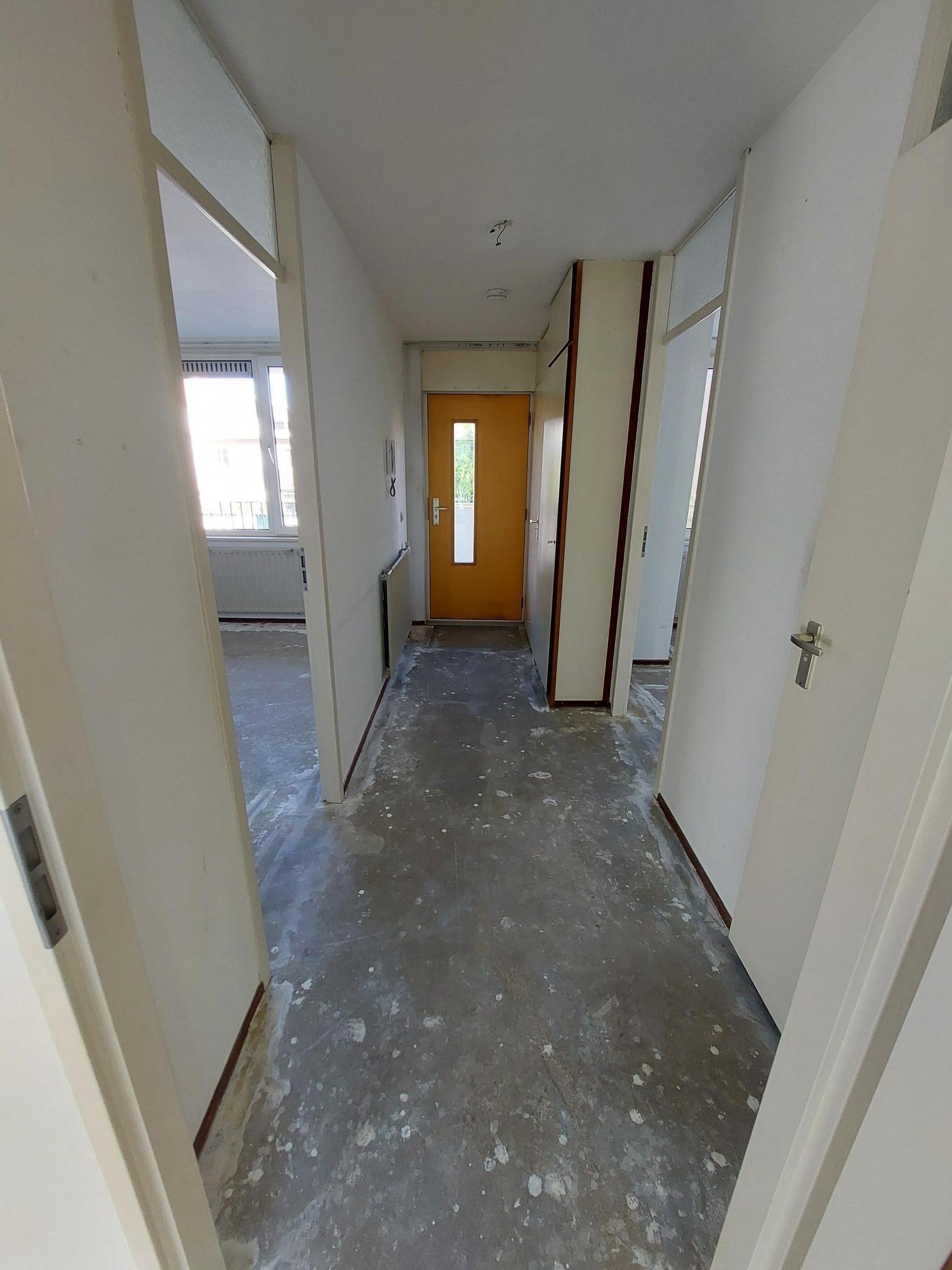 Ingenieur J.P. van Muijlwijkstraat 65