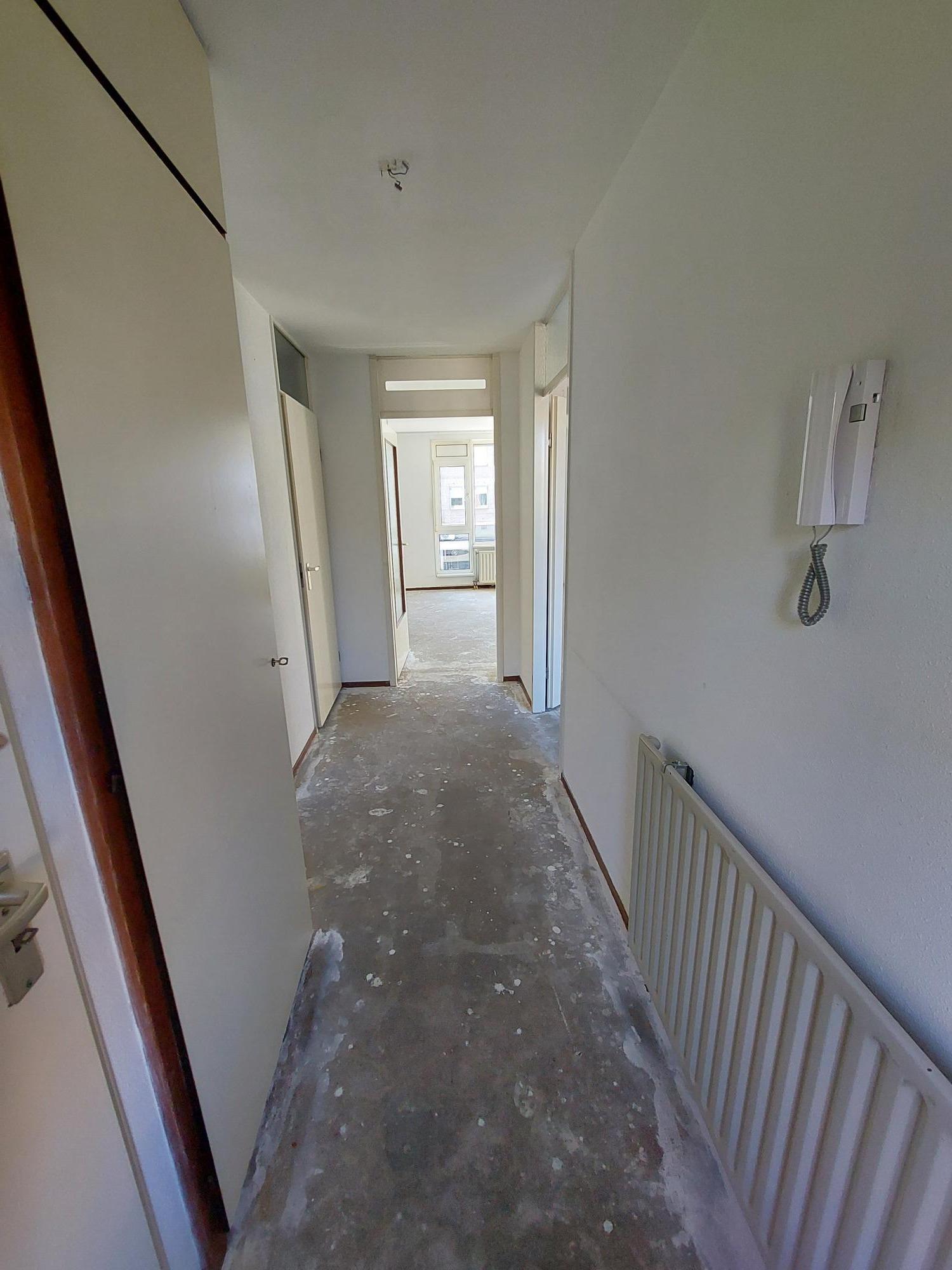 Ingenieur J.P. van Muijlwijkstraat 65