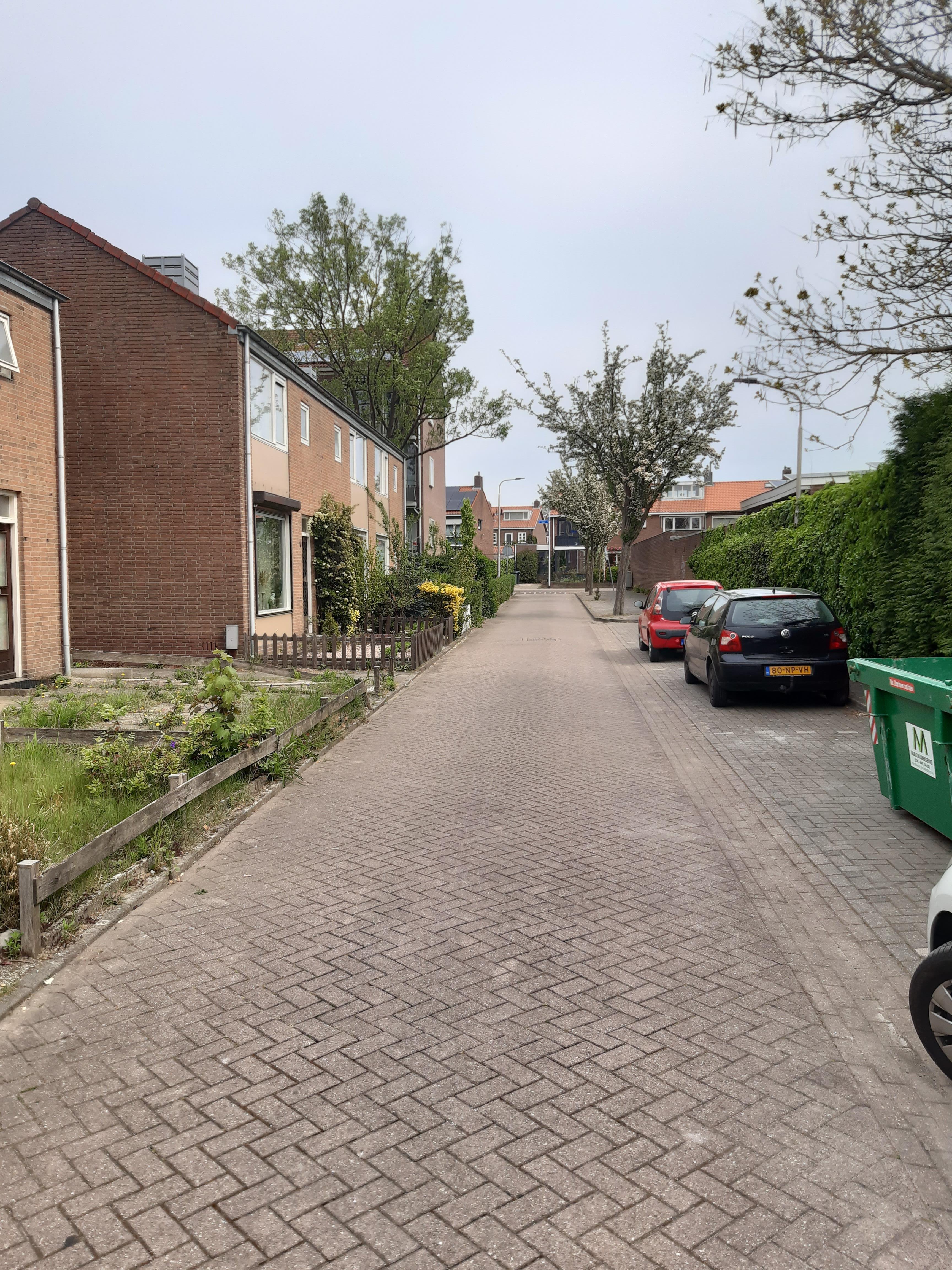 Avondroodvlinderstraat 12