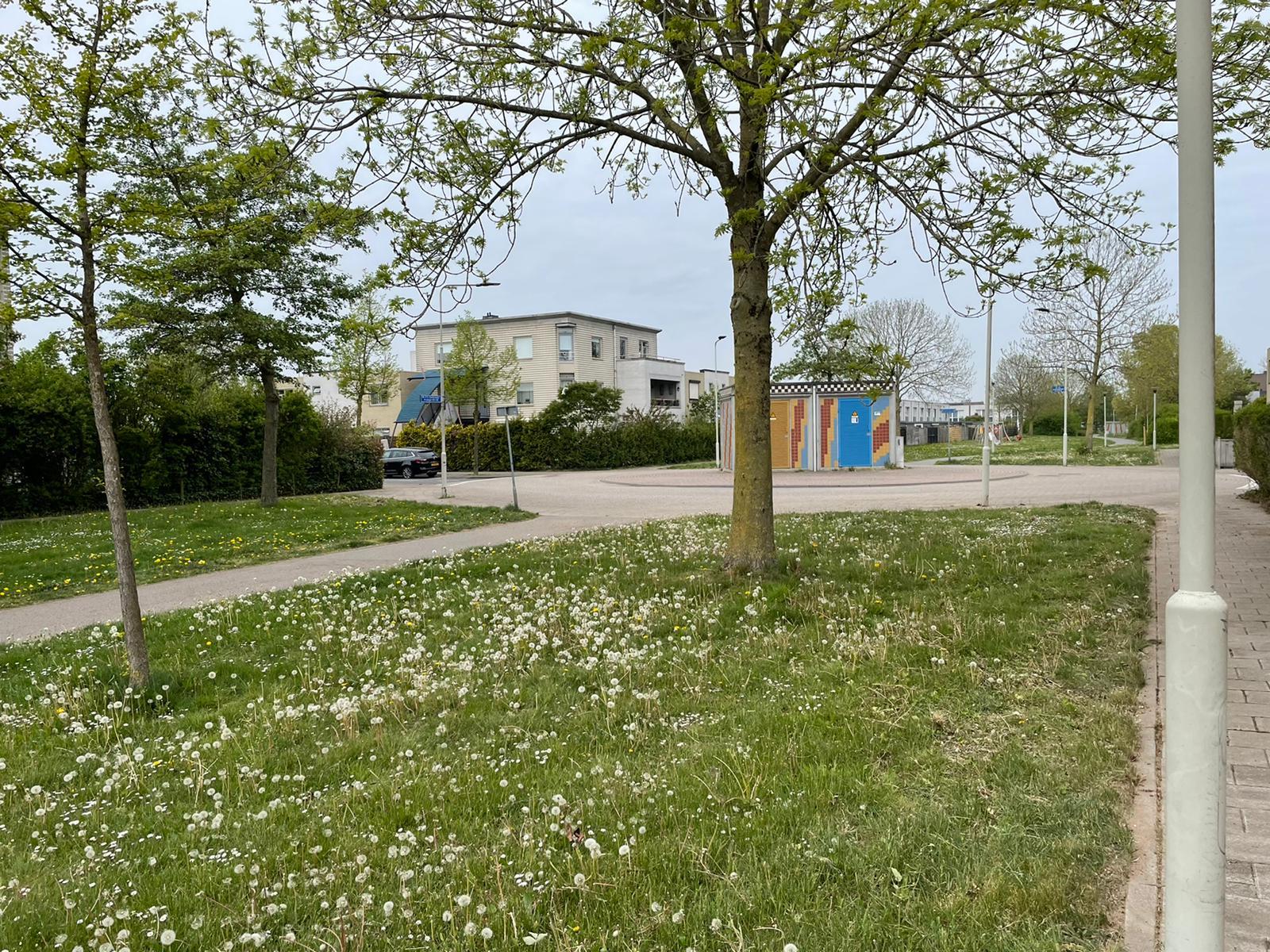 Meester P.S. Gerbrandysingel 44