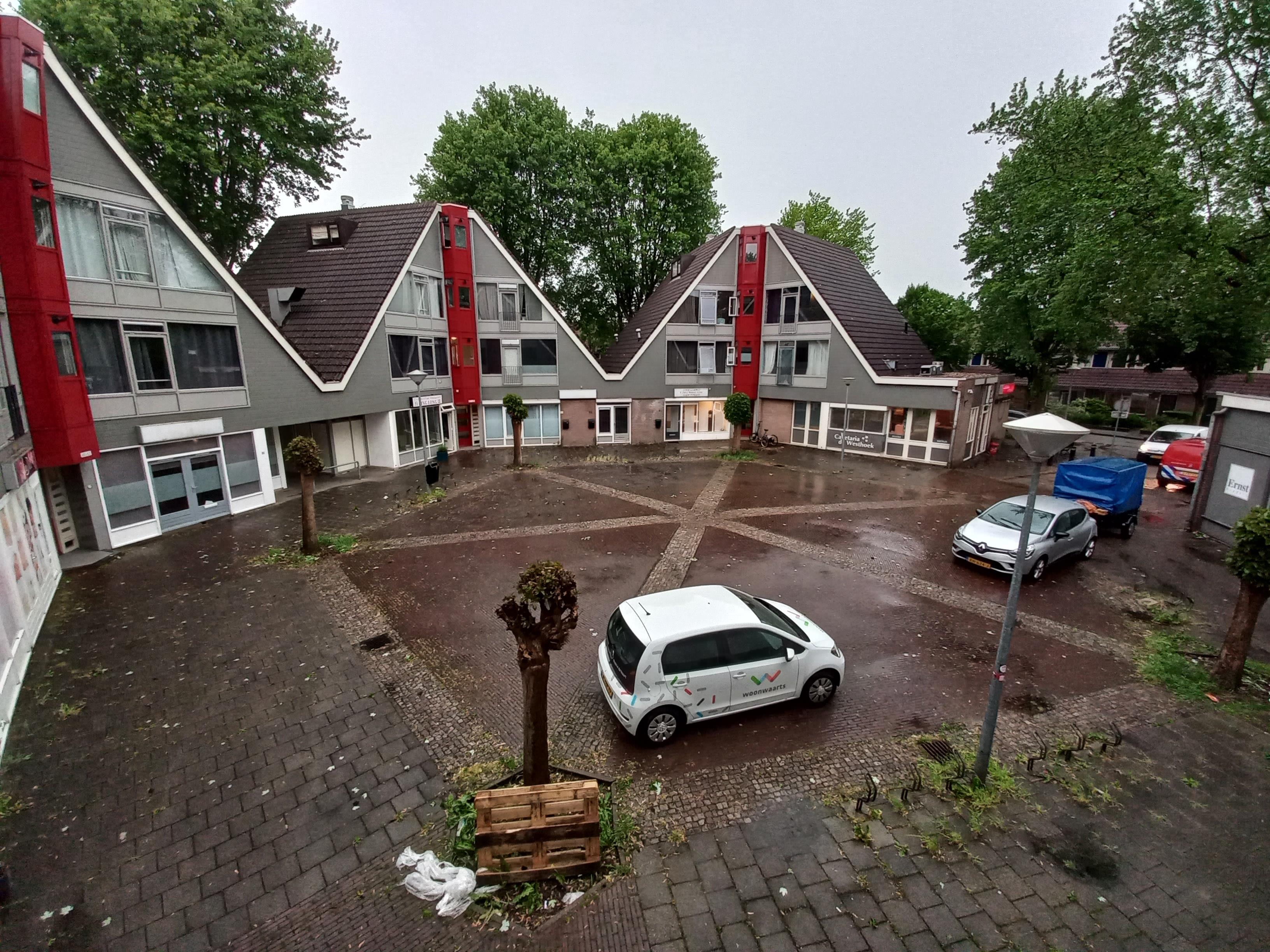 Koolzaadveld 29