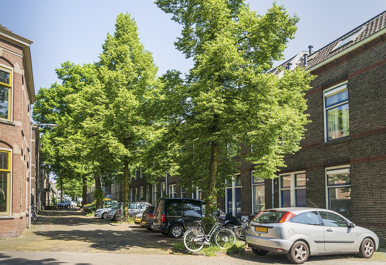 Hovenierstraat 47