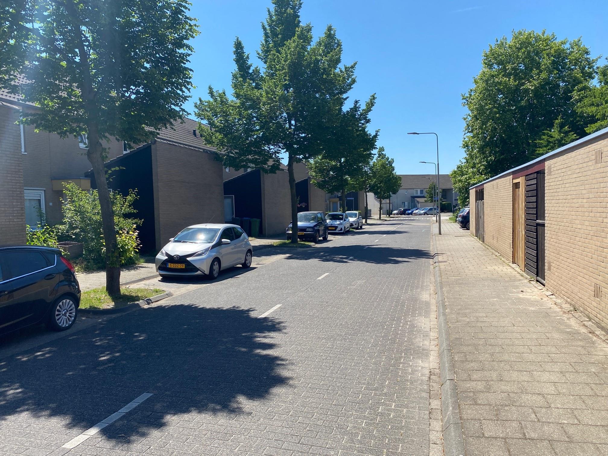 Doctor Willem Dreessingel 24