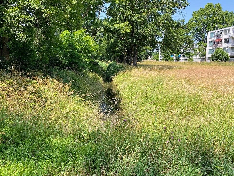 Middachtenstraat 363