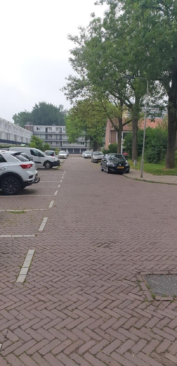 Van der Goesstraat 110, 6826 KL Arnhem, Nederland