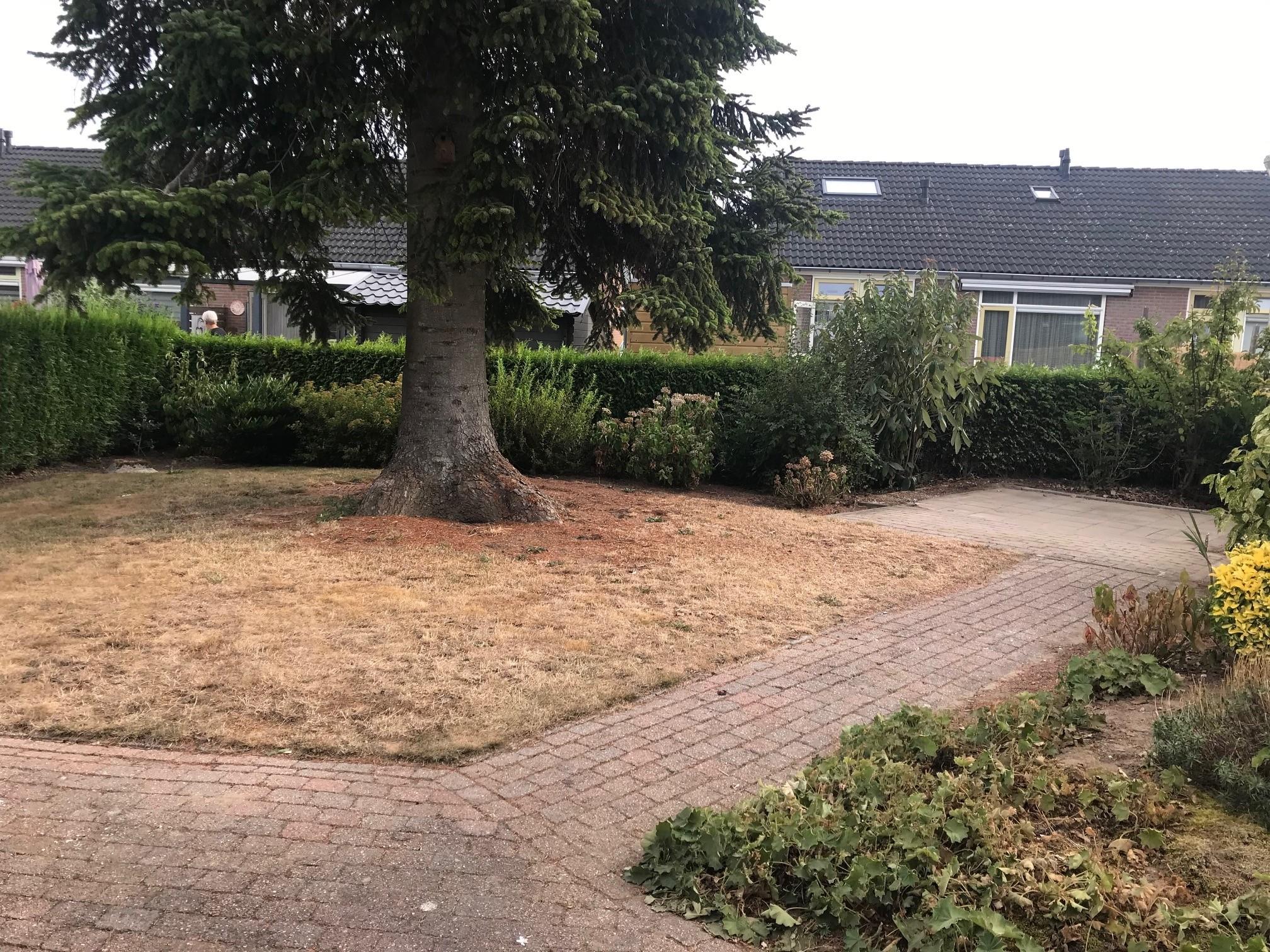 Prinses Christinastraat 7