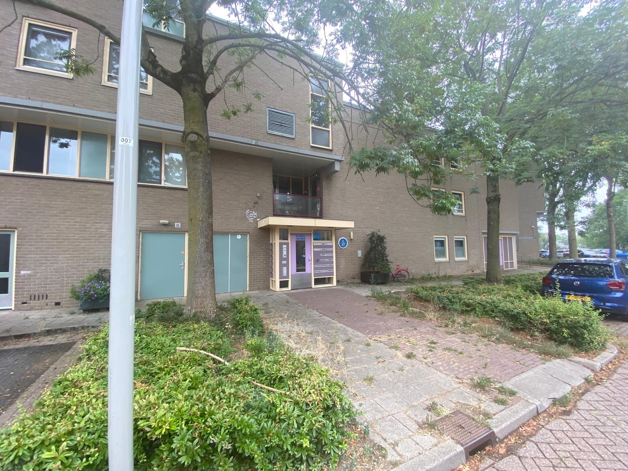 Baakhovenstraat 7
