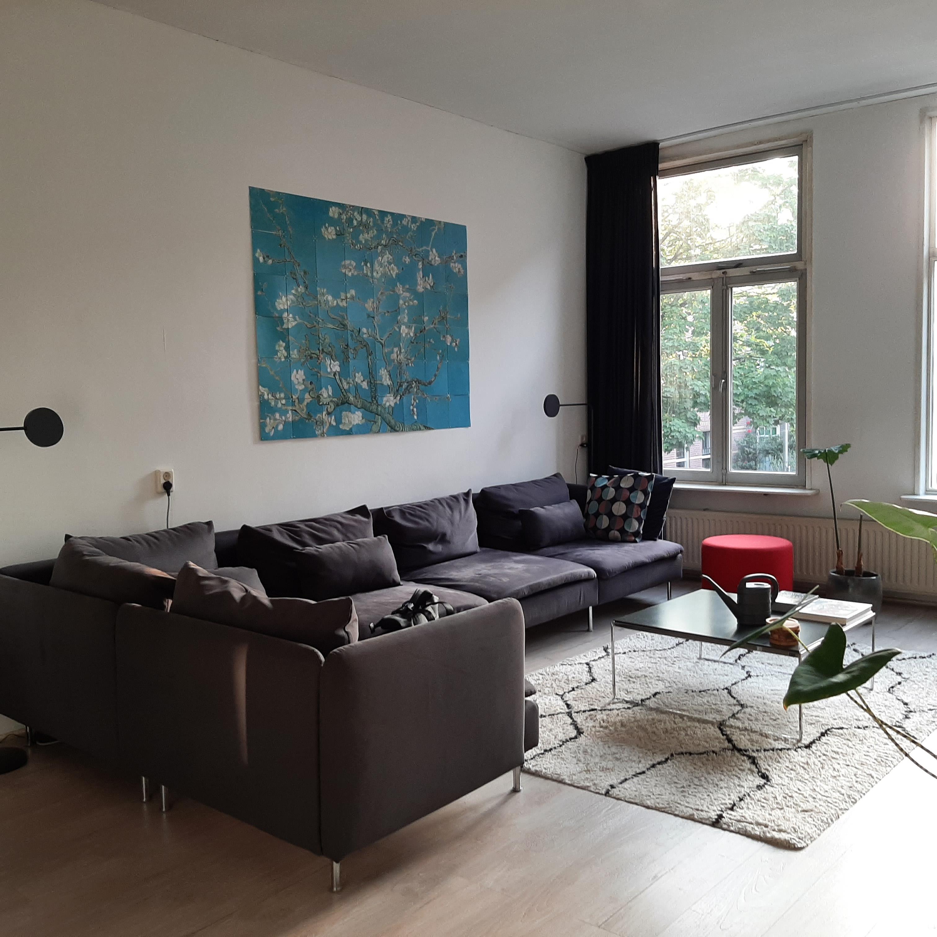 Jan de Wittstraat 42