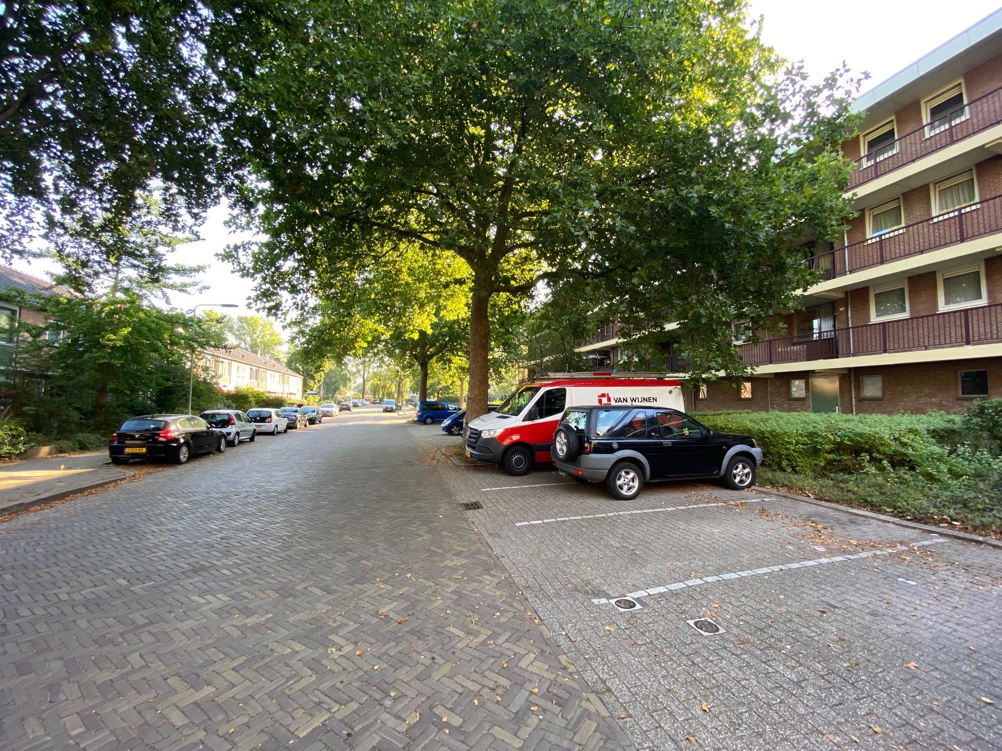 Molecatenstraat 62