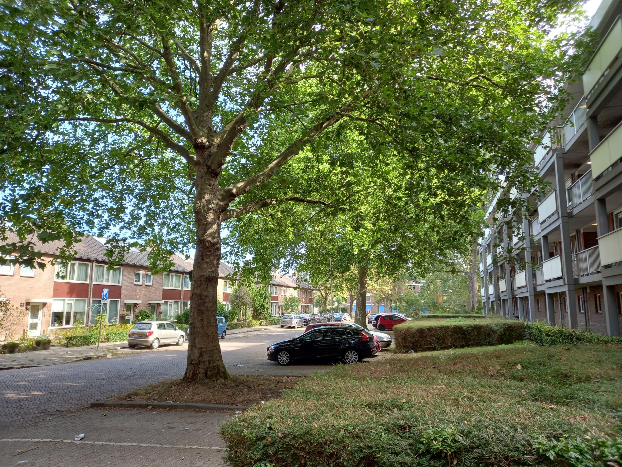 Engelenburgstraat 74, 6825 KR Arnhem, Nederland