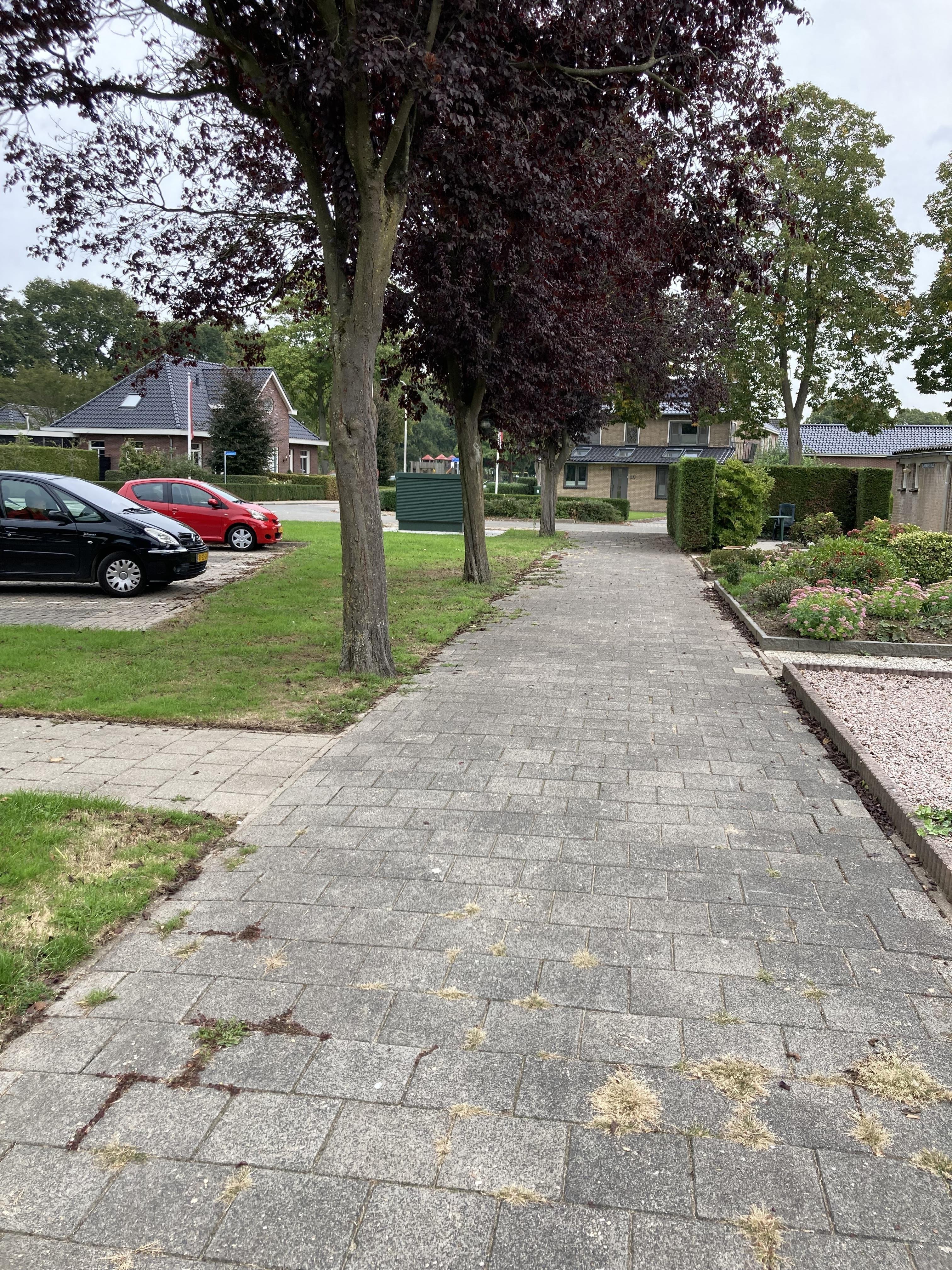 Slangenburgstraat 58