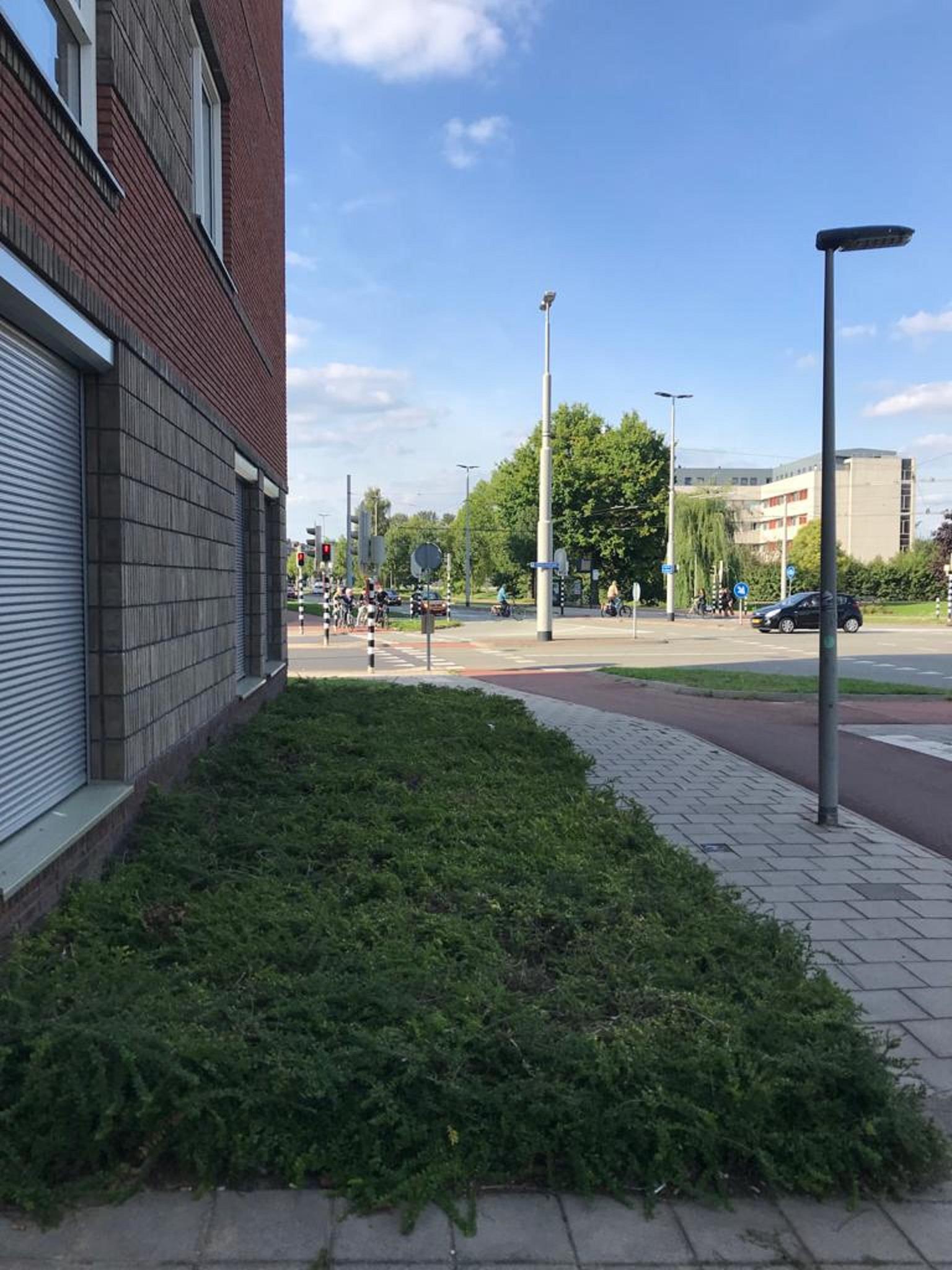 Laan van Presikhaaf 250