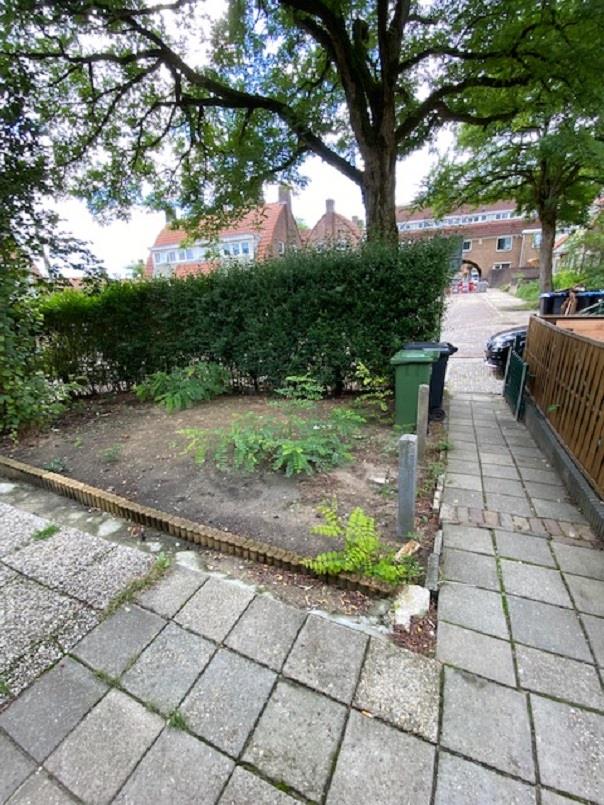 P.J. Troelstrastraat 11