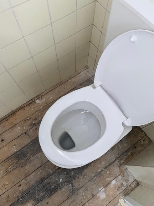 P.J. Troelstrastraat 11