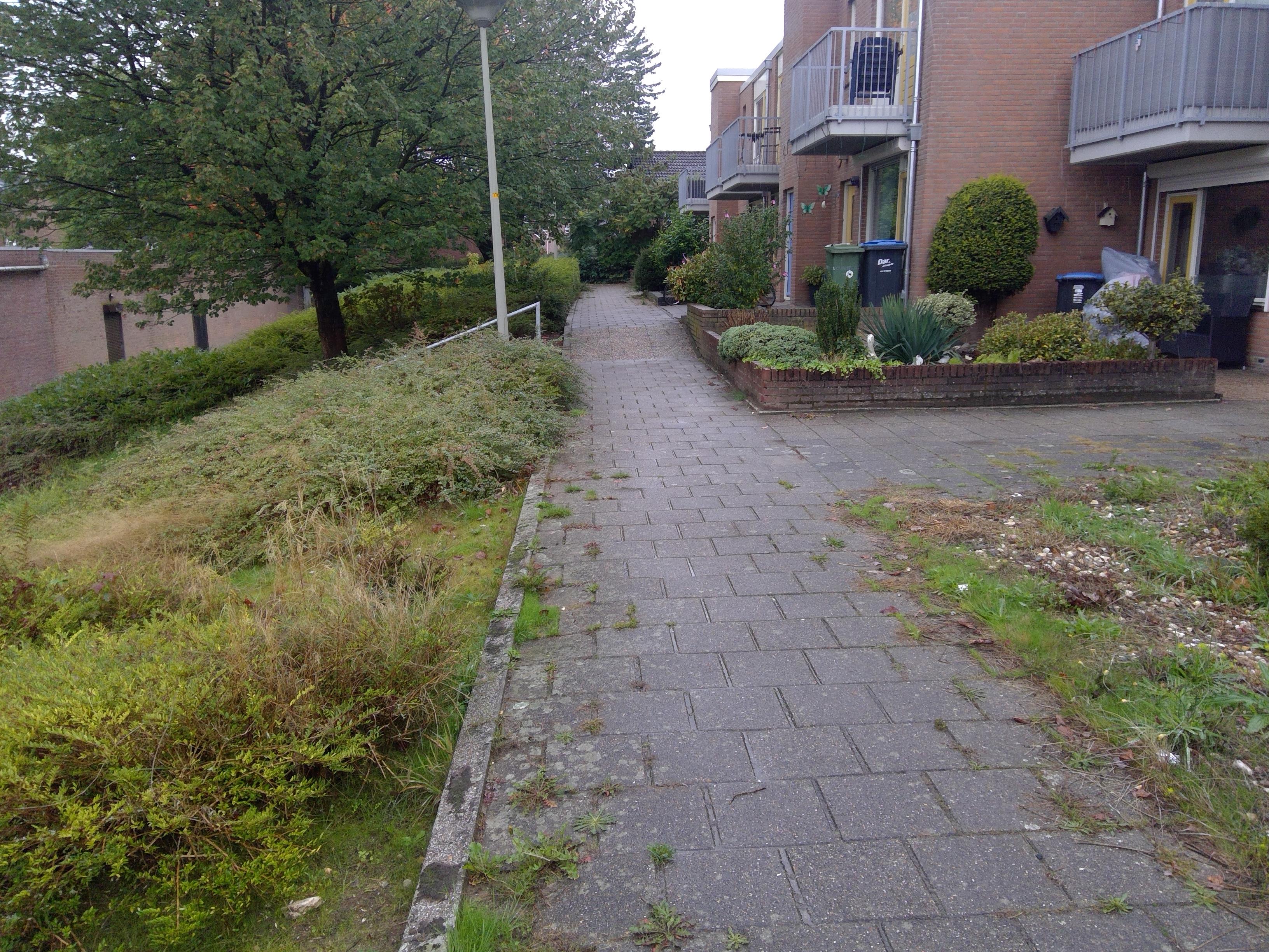 Papaverstraat 46, 6561 WR Groesbeek, Nederland