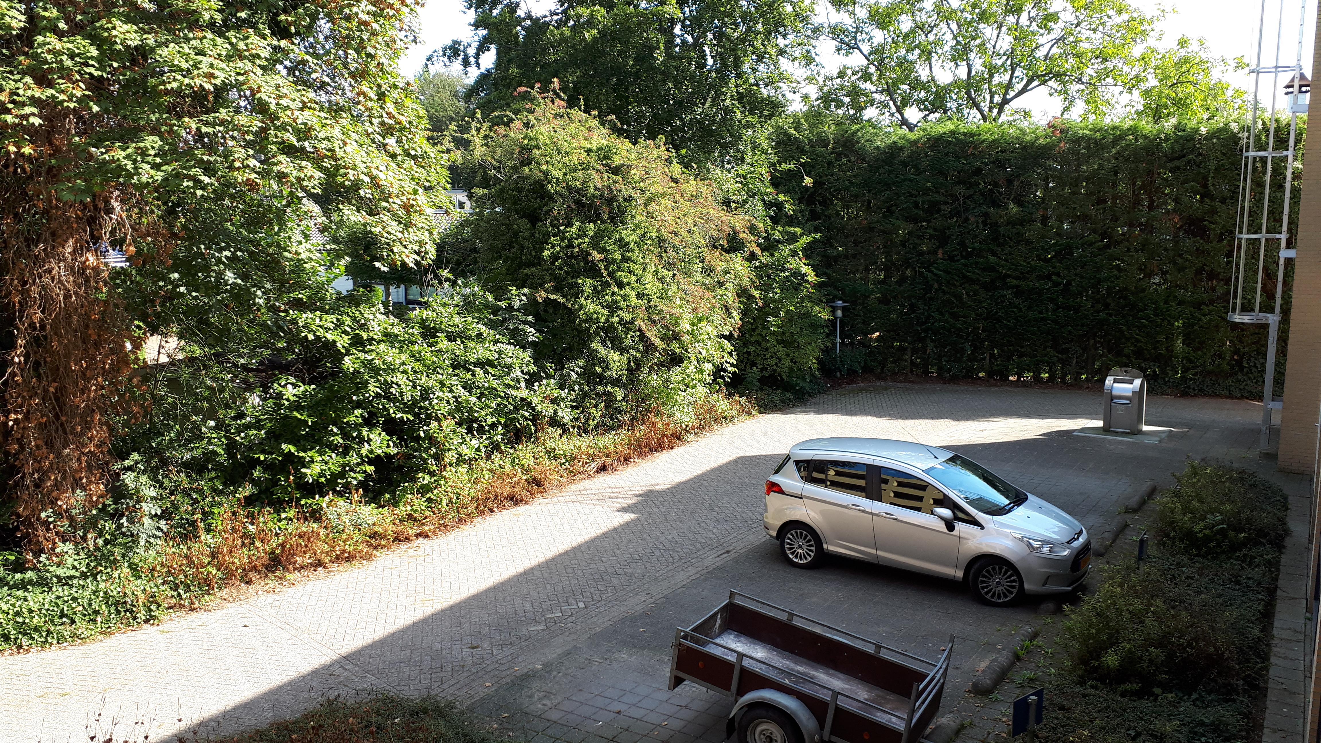 Bachstraat 13A