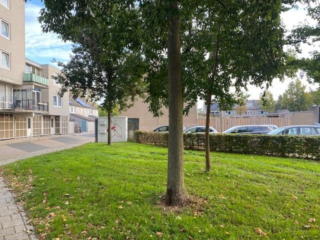 Louis Armstronghof 29