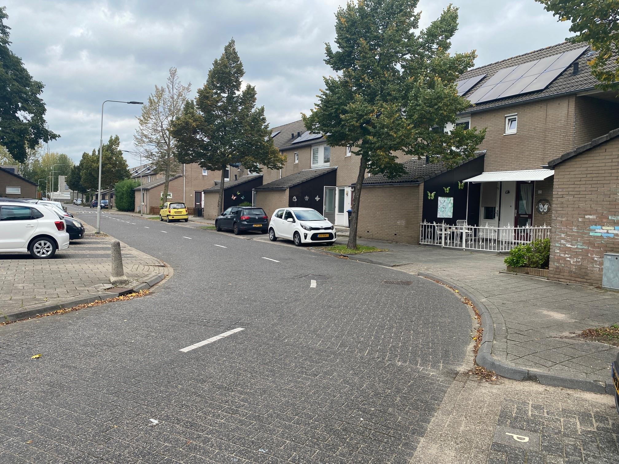 Doctor Willem Dreessingel 73