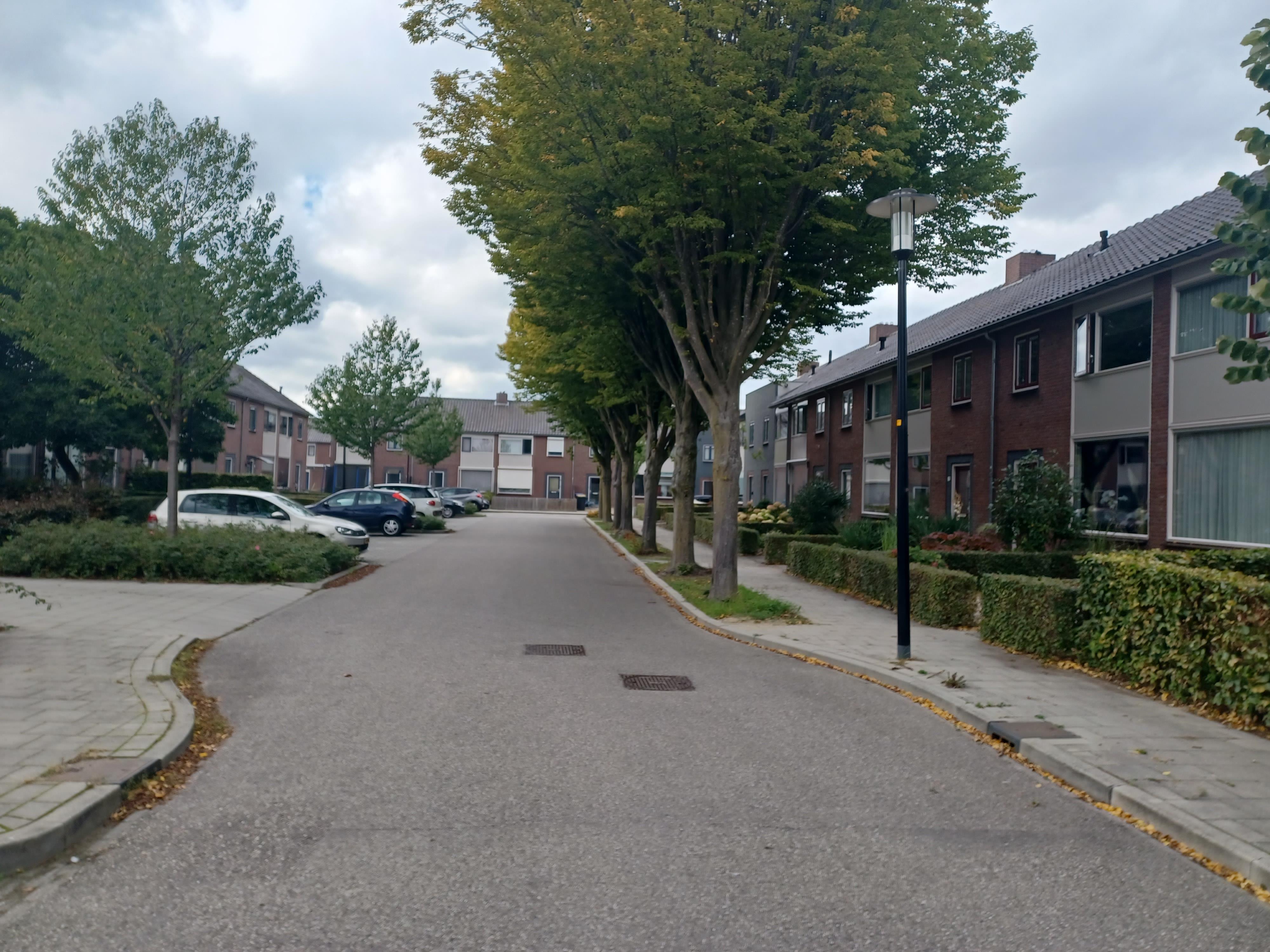 Buurmeesterstraat 9a