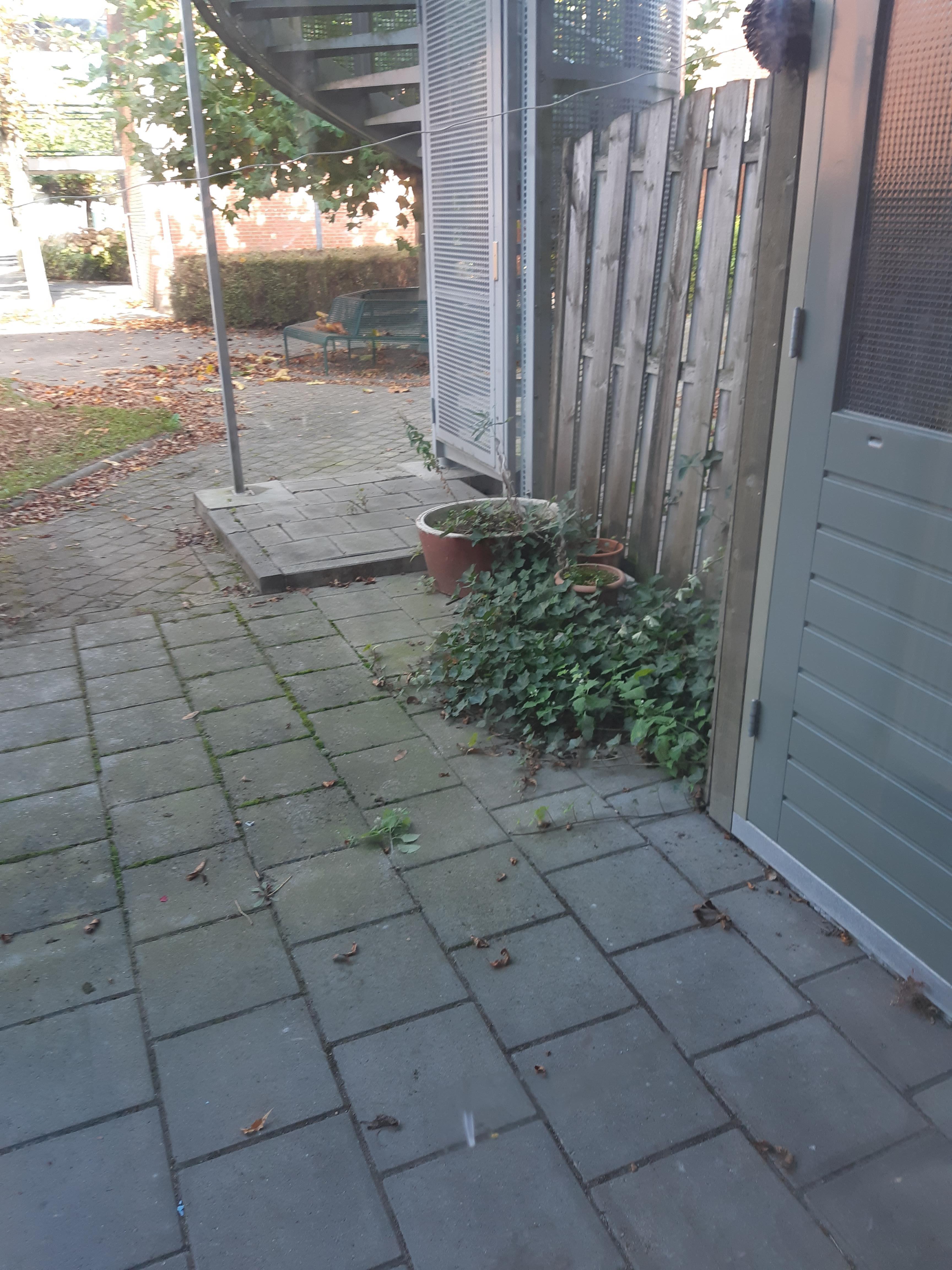 Van der Duyn van Maasdamstraat 48