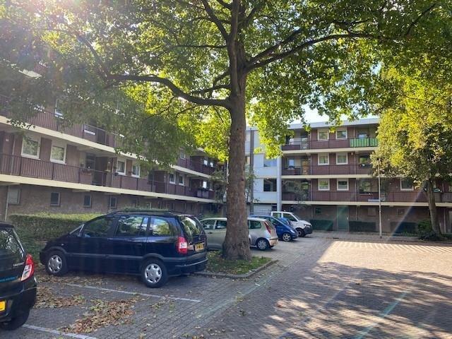 Molecatenstraat 66, 6825 GV Arnhem, Nederland