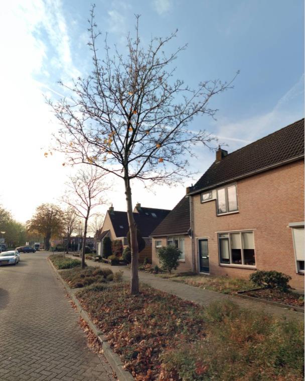 Wilhelminastraat 3, 6981 HS Doesburg, Nederland