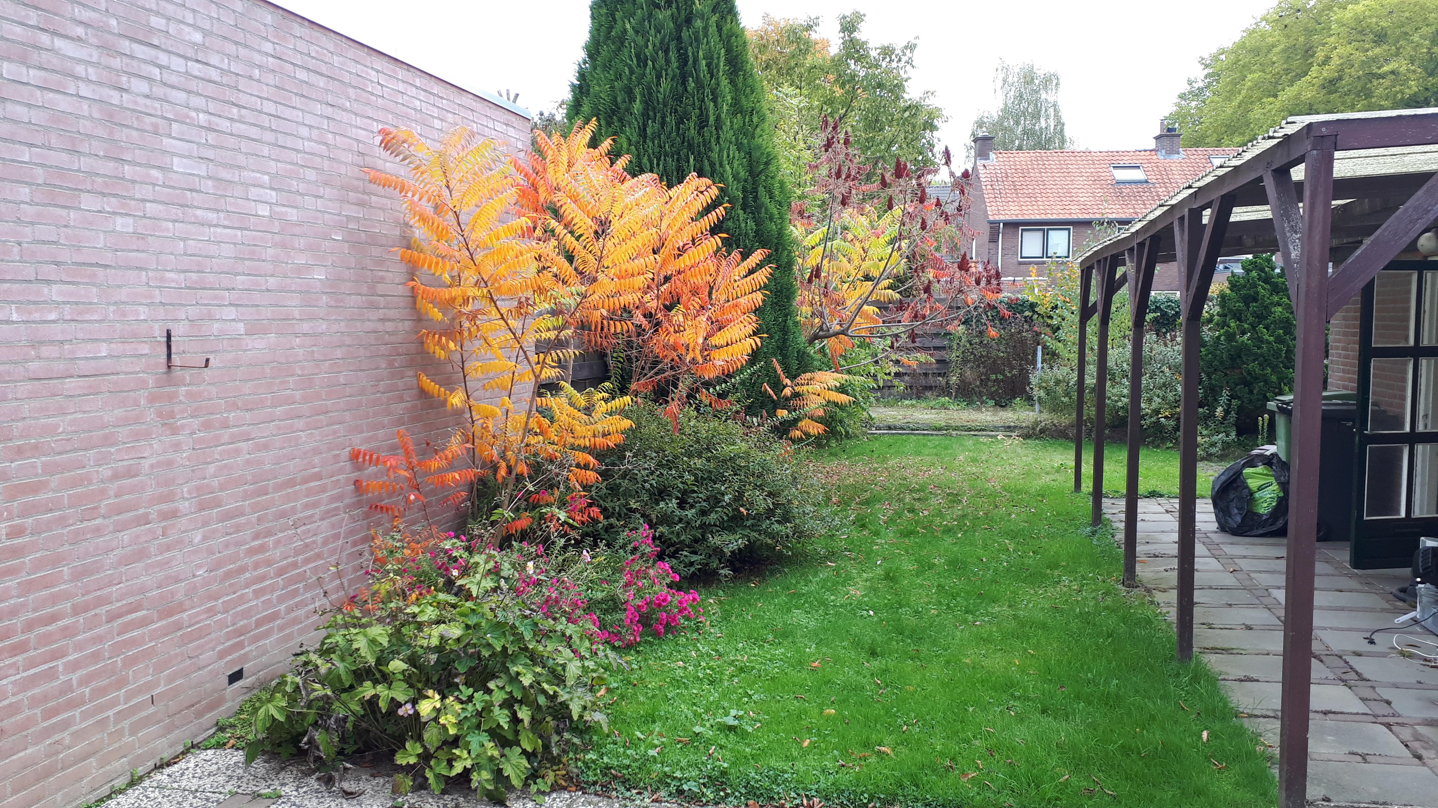 Koningin Emmastraat 10