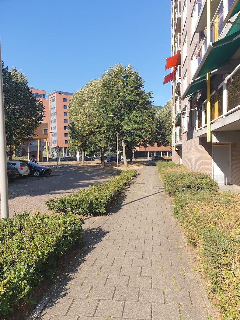 Kronenburgsingel 789