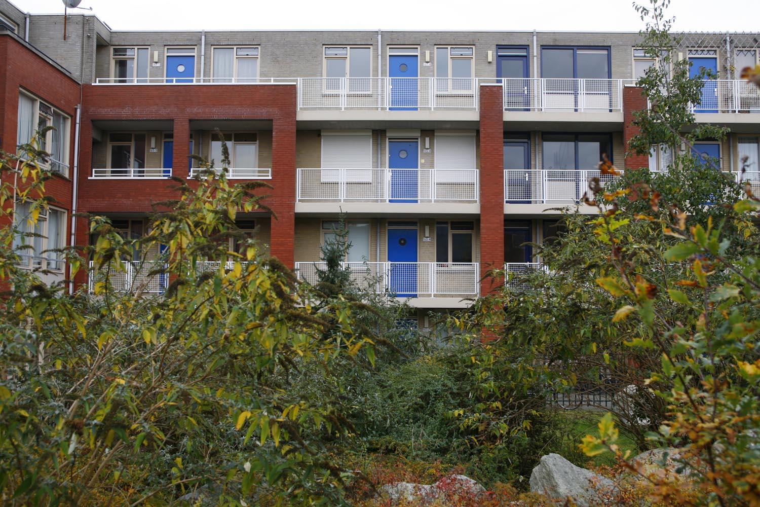 Rosendaalsestraat, Arnhem, Nederland