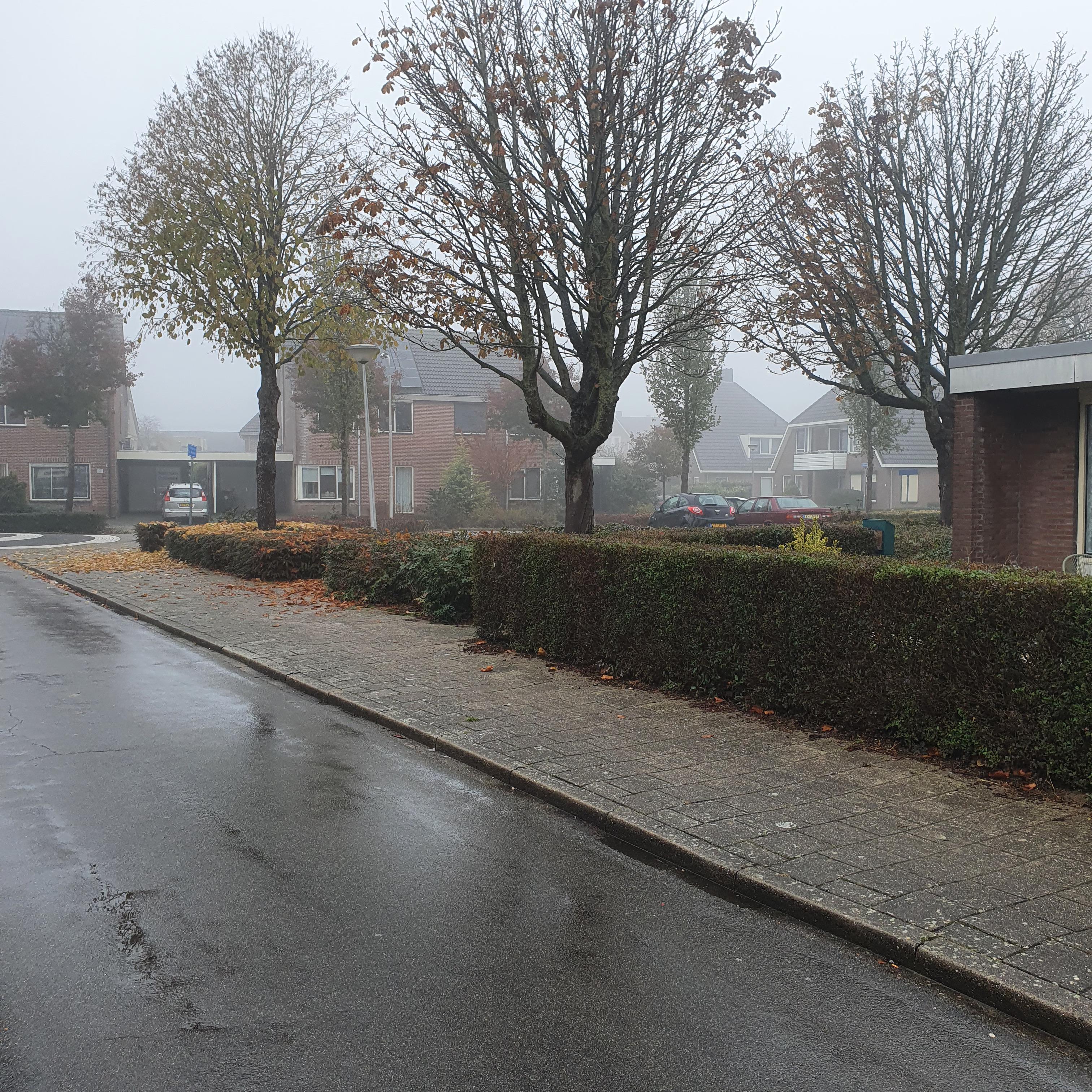  Pastoor van de Weijstr 53