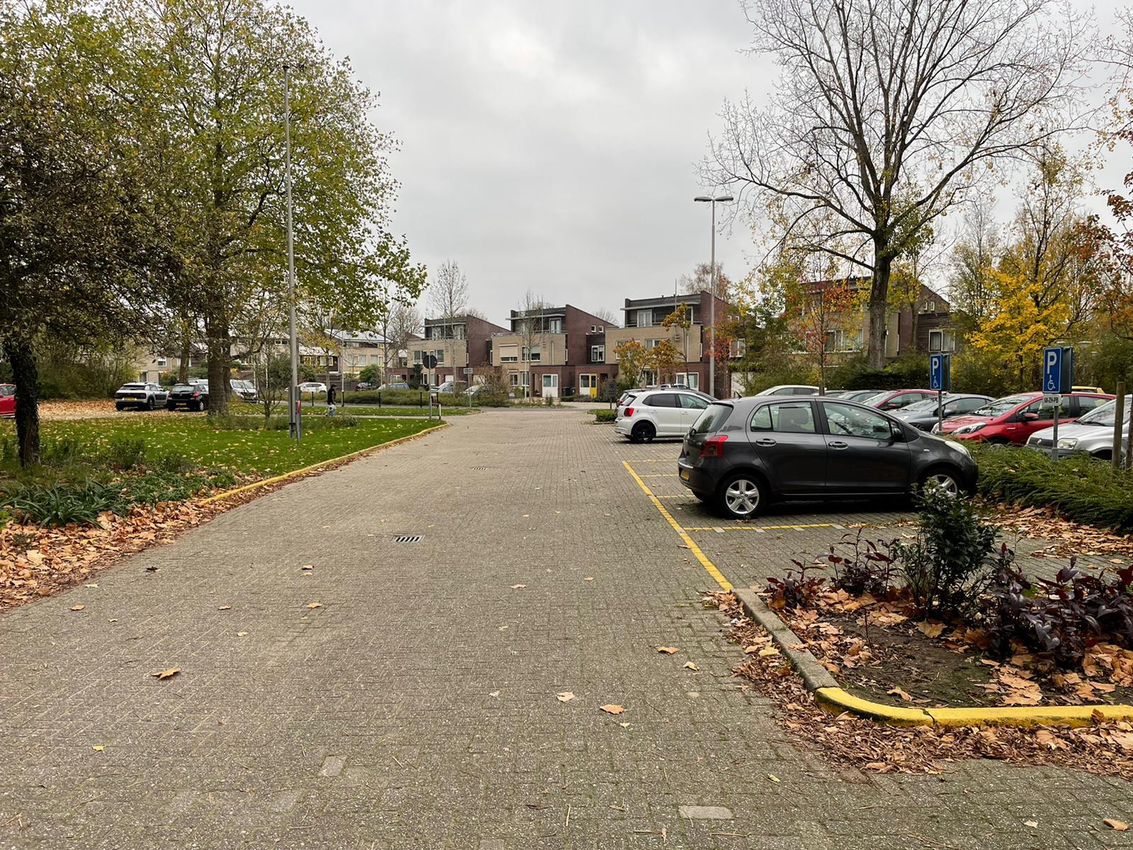 Gorinchemstraat 50116