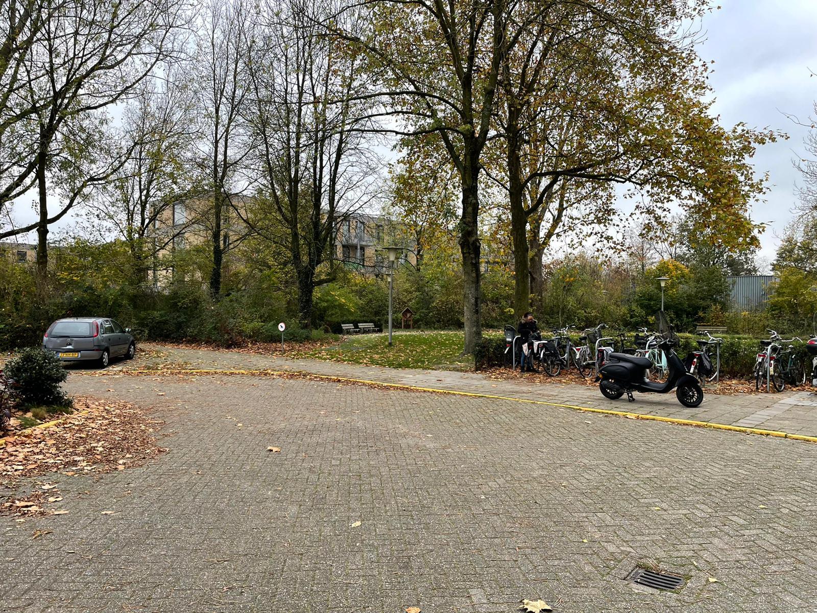 Gorinchemstraat 50116