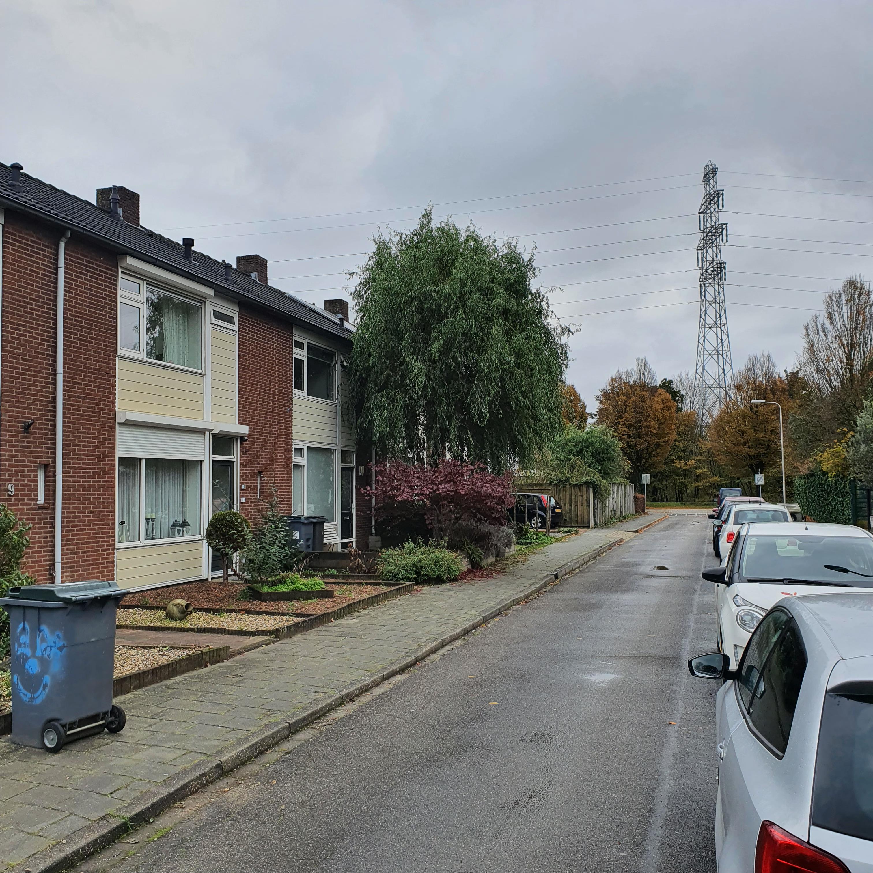 Lijsterbesstraat 9