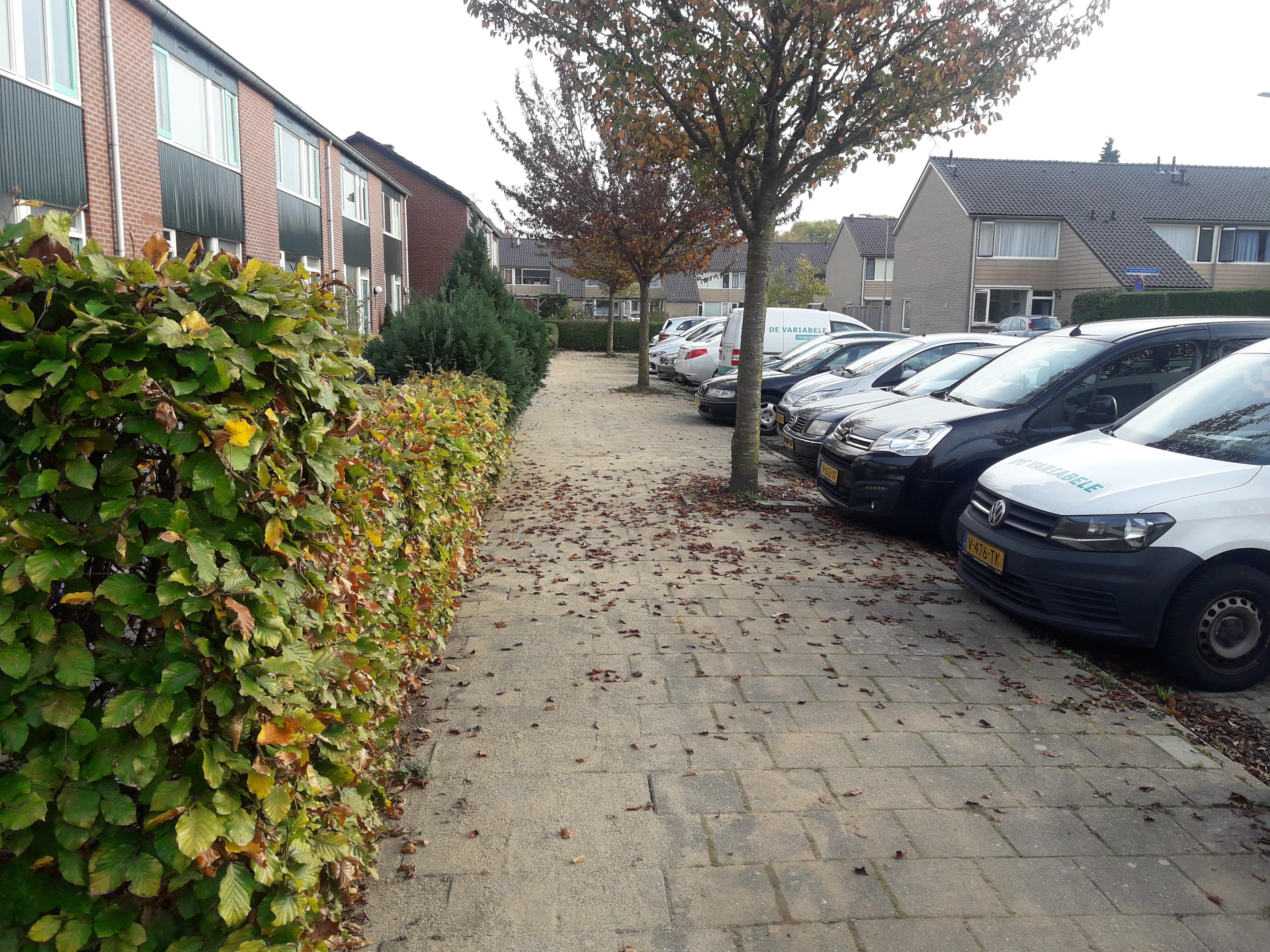 Van der Hoevensstraat 65