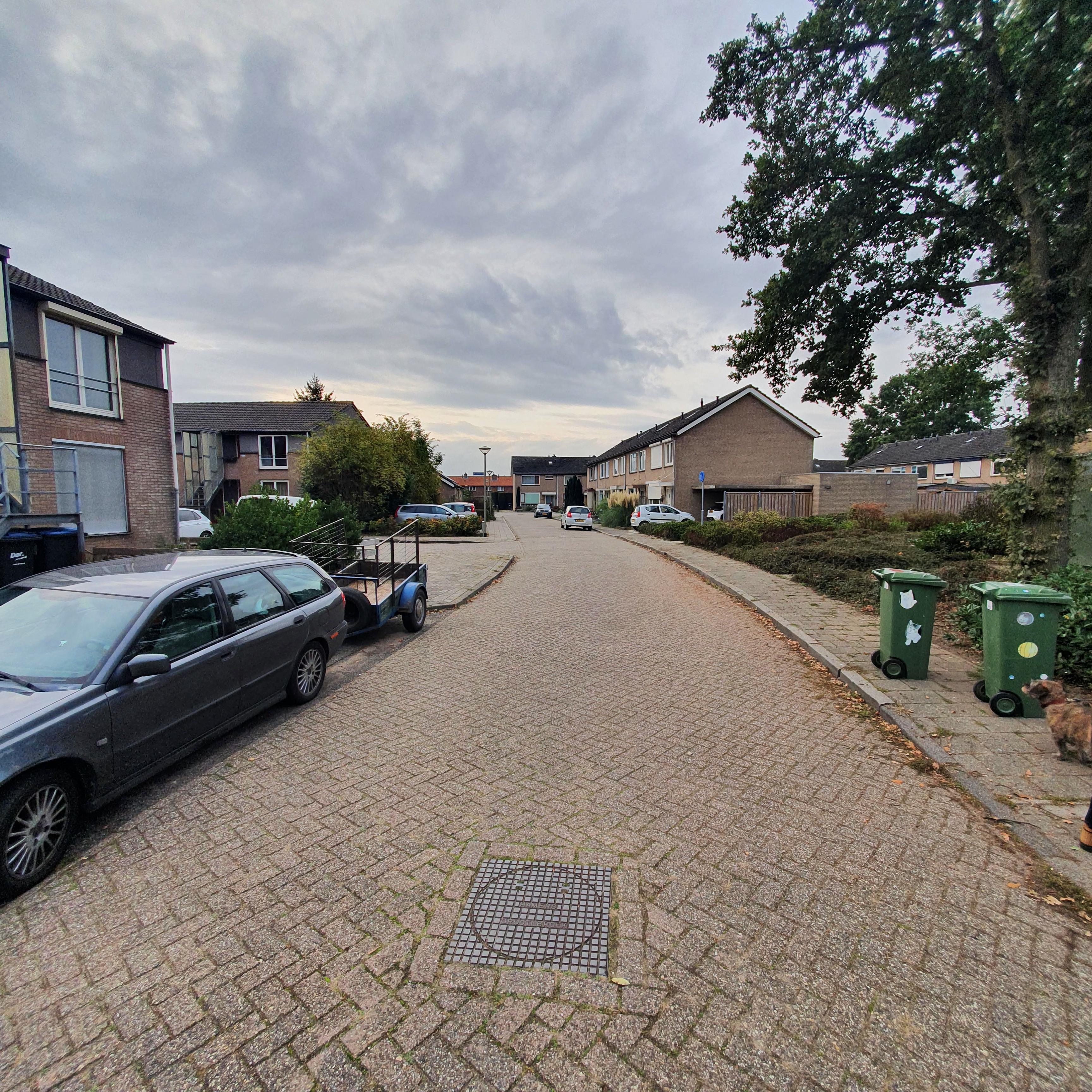 Burgemeester Hermsenstraat 