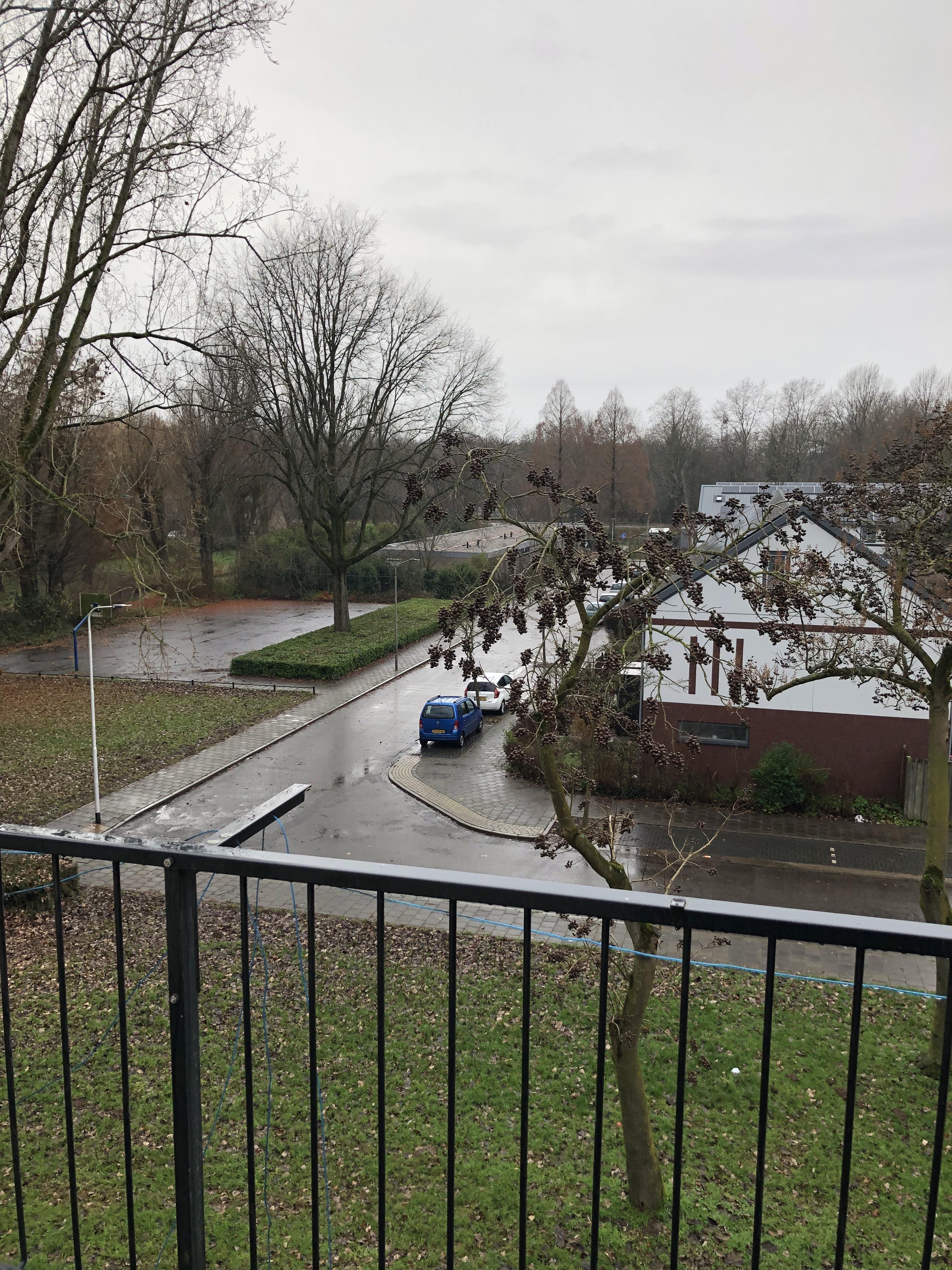 Meijhorst 2456, 6537 GP Nijmegen, Nederland