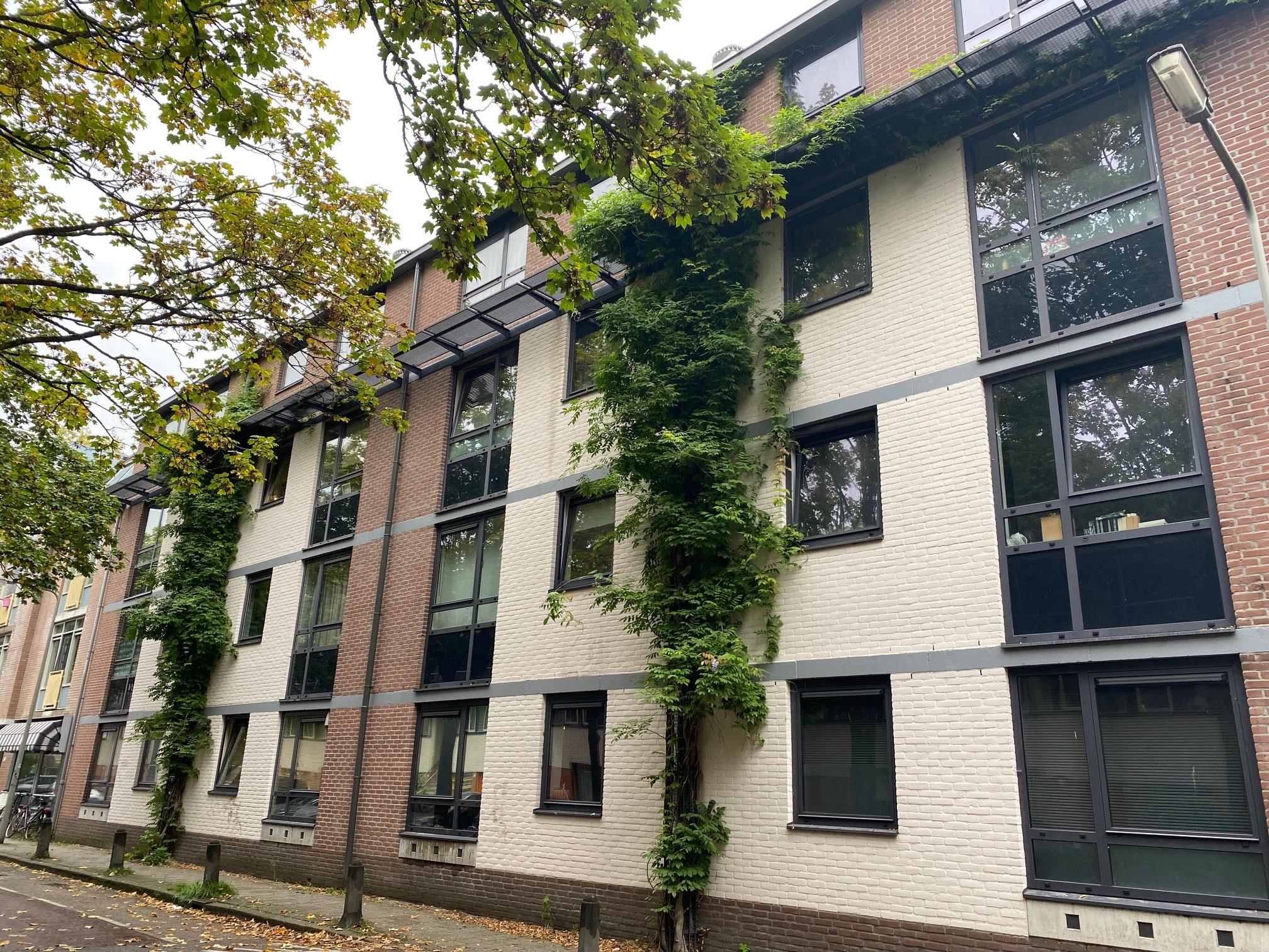 Singelstraat 125, 6828 JZ Arnhem, Nederland