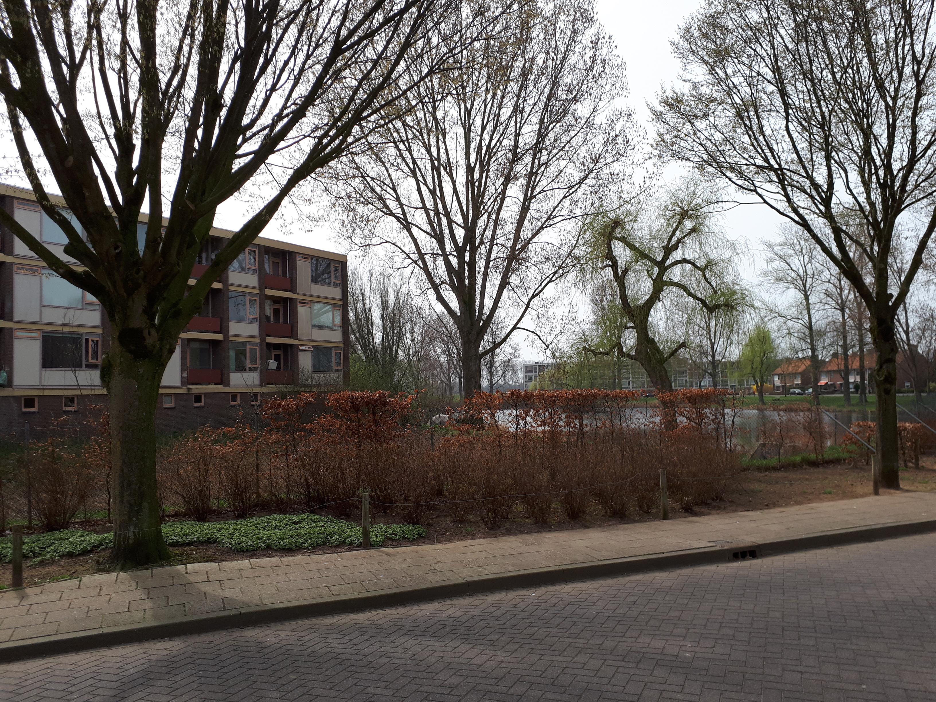 Goudenregenstraat 54