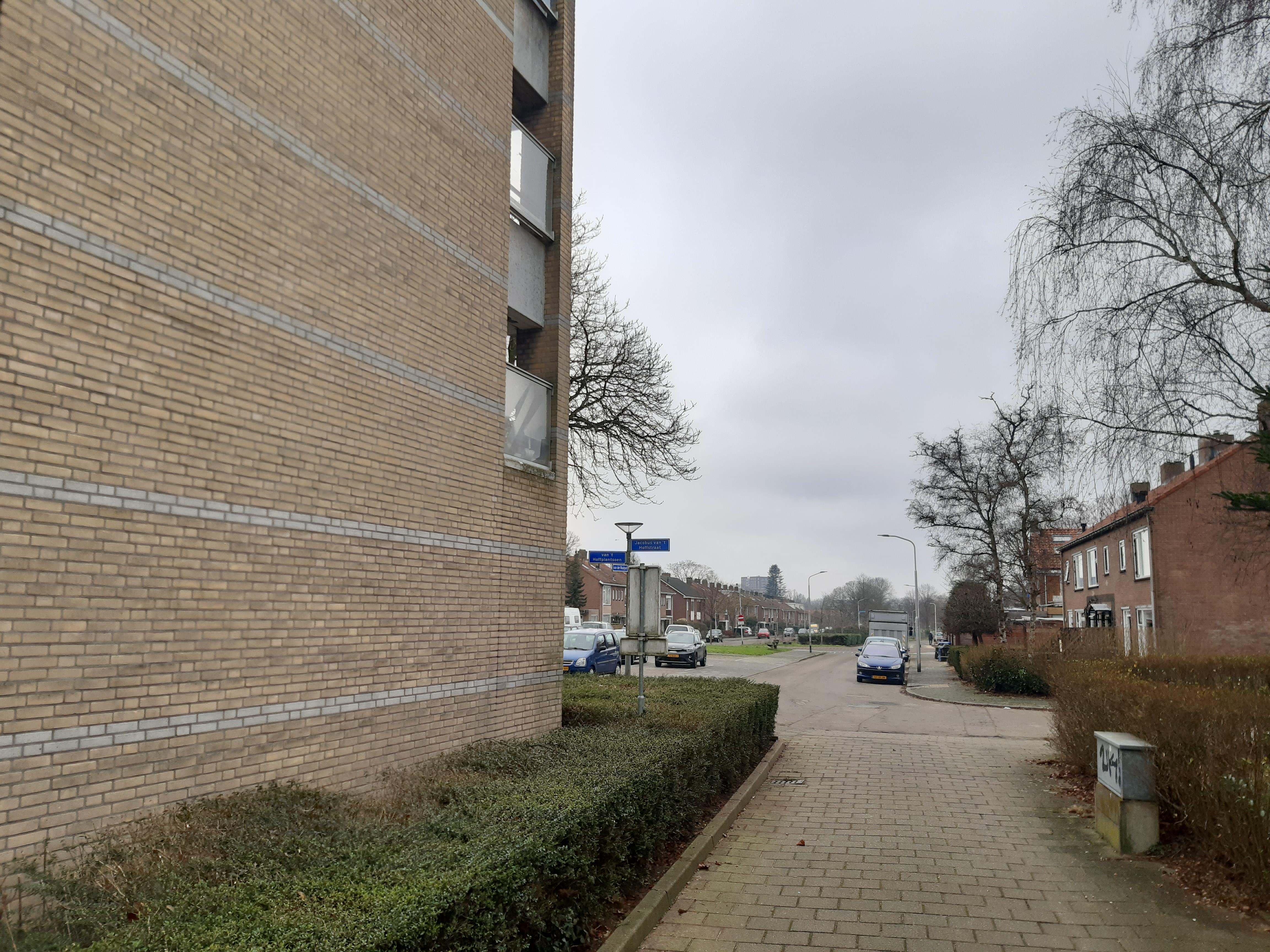 Van Het Hoffplantsoen 117