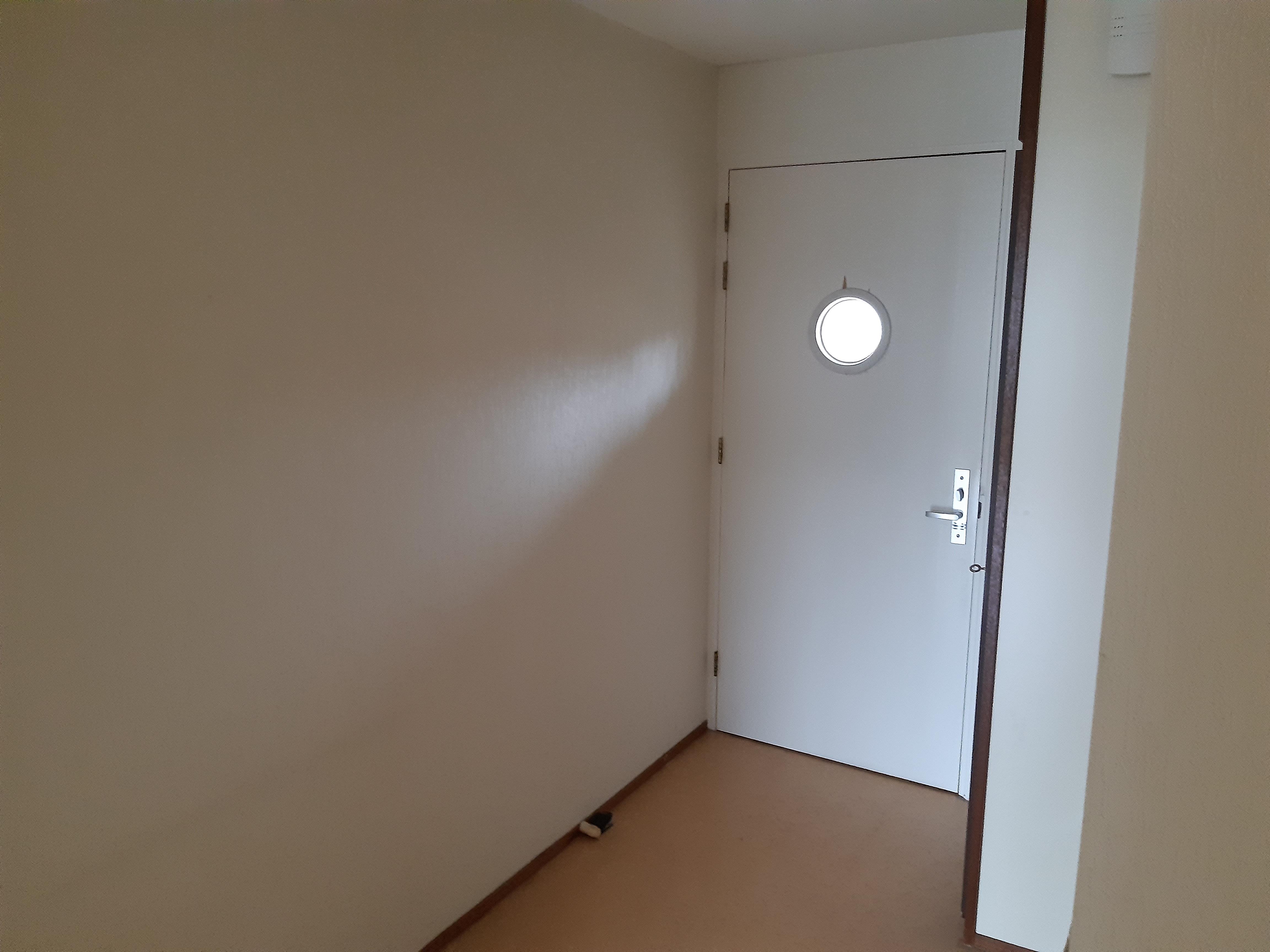 Van Het Hoffplantsoen 117