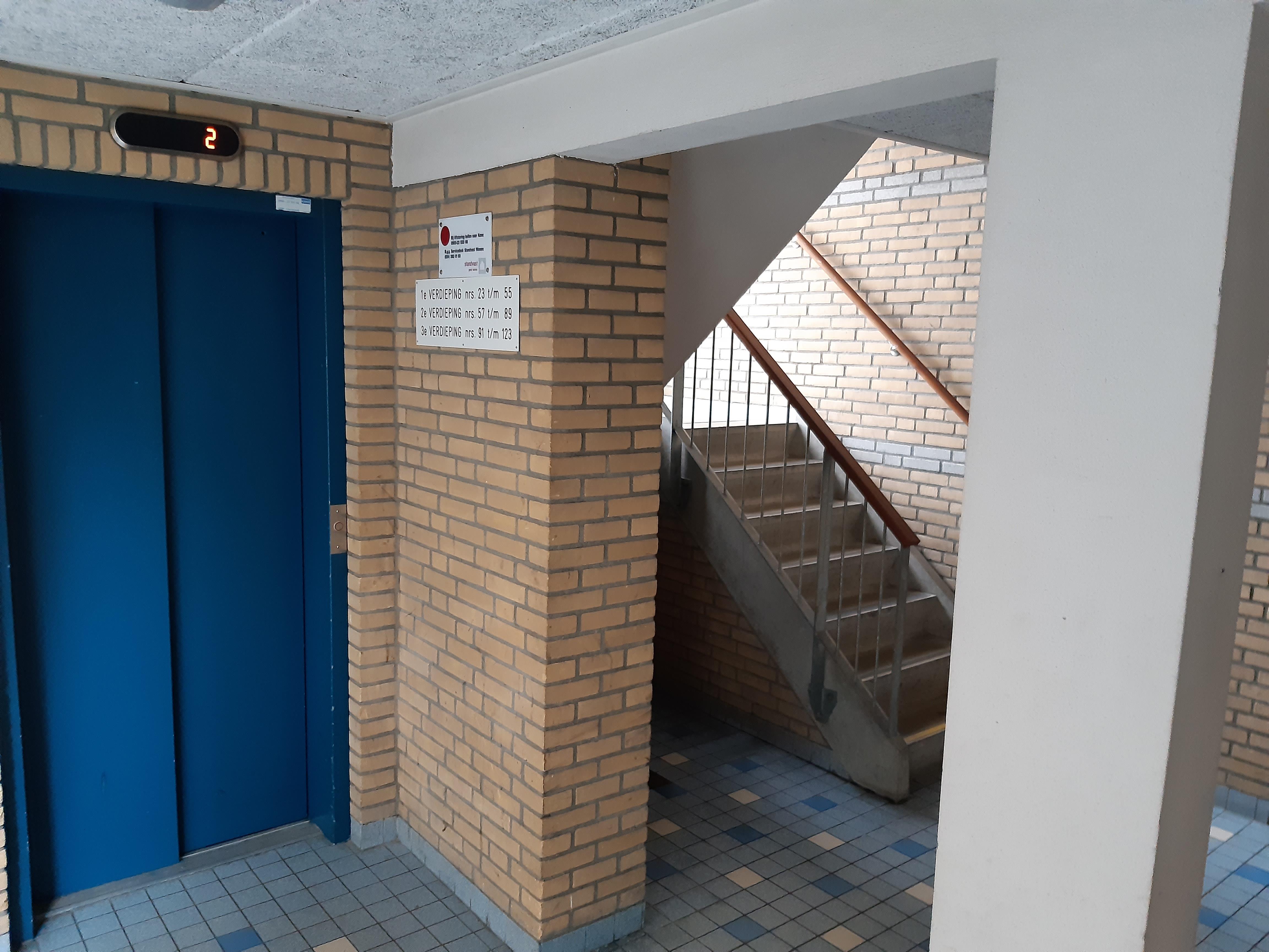 Van Het Hoffplantsoen 117