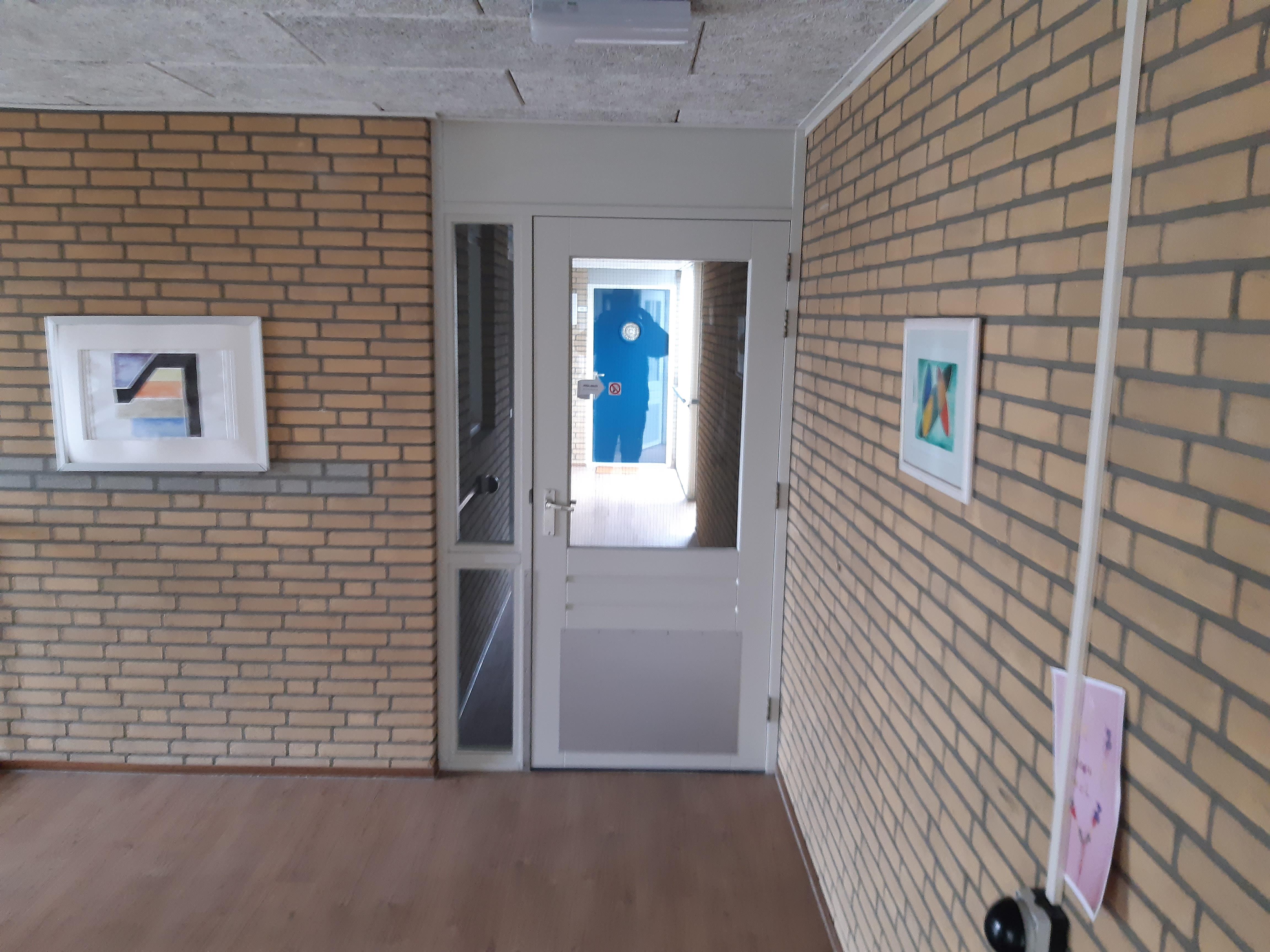 Van Het Hoffplantsoen 117