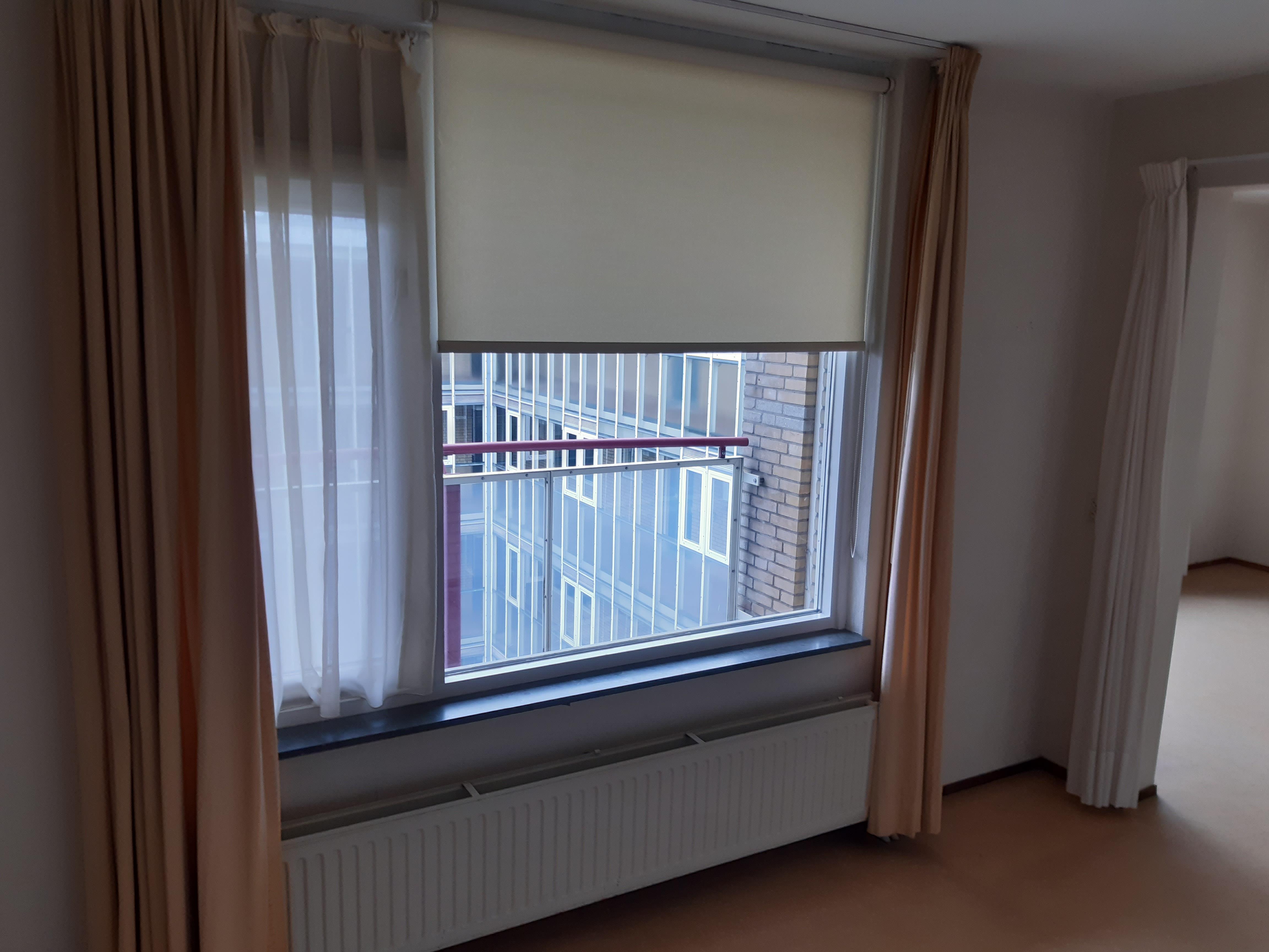 Van Het Hoffplantsoen 117