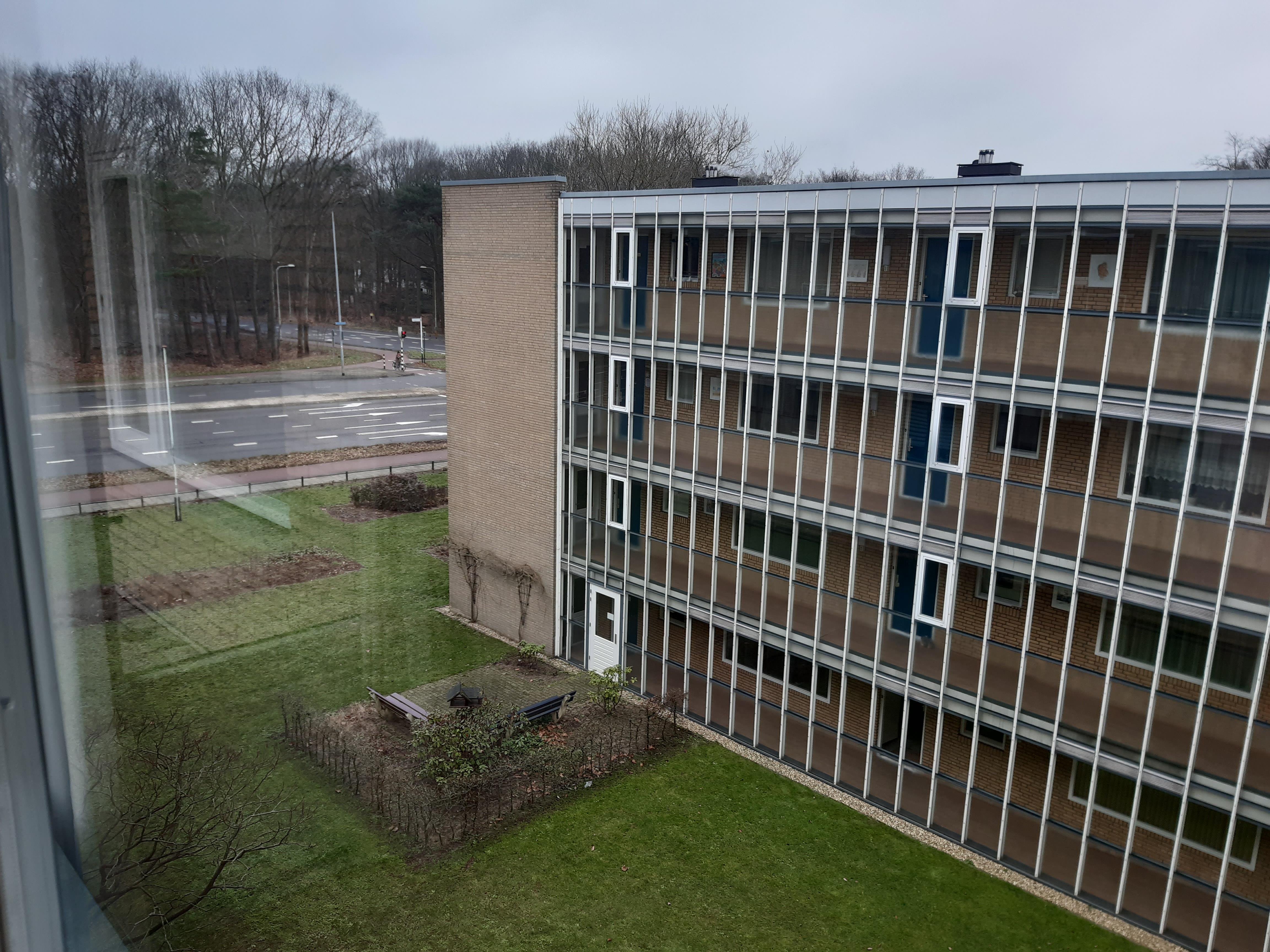 Van Het Hoffplantsoen 117