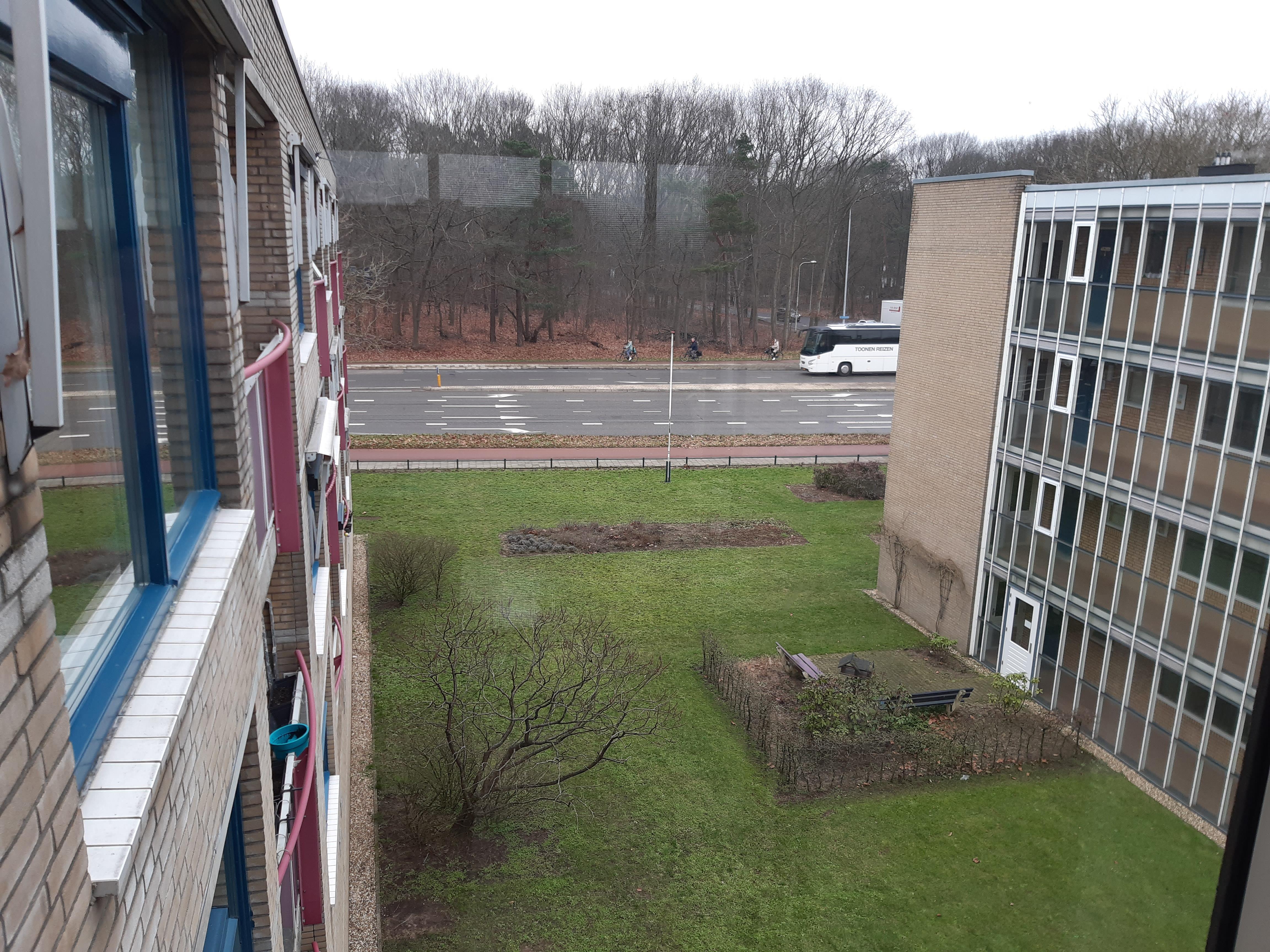 Van Het Hoffplantsoen 117