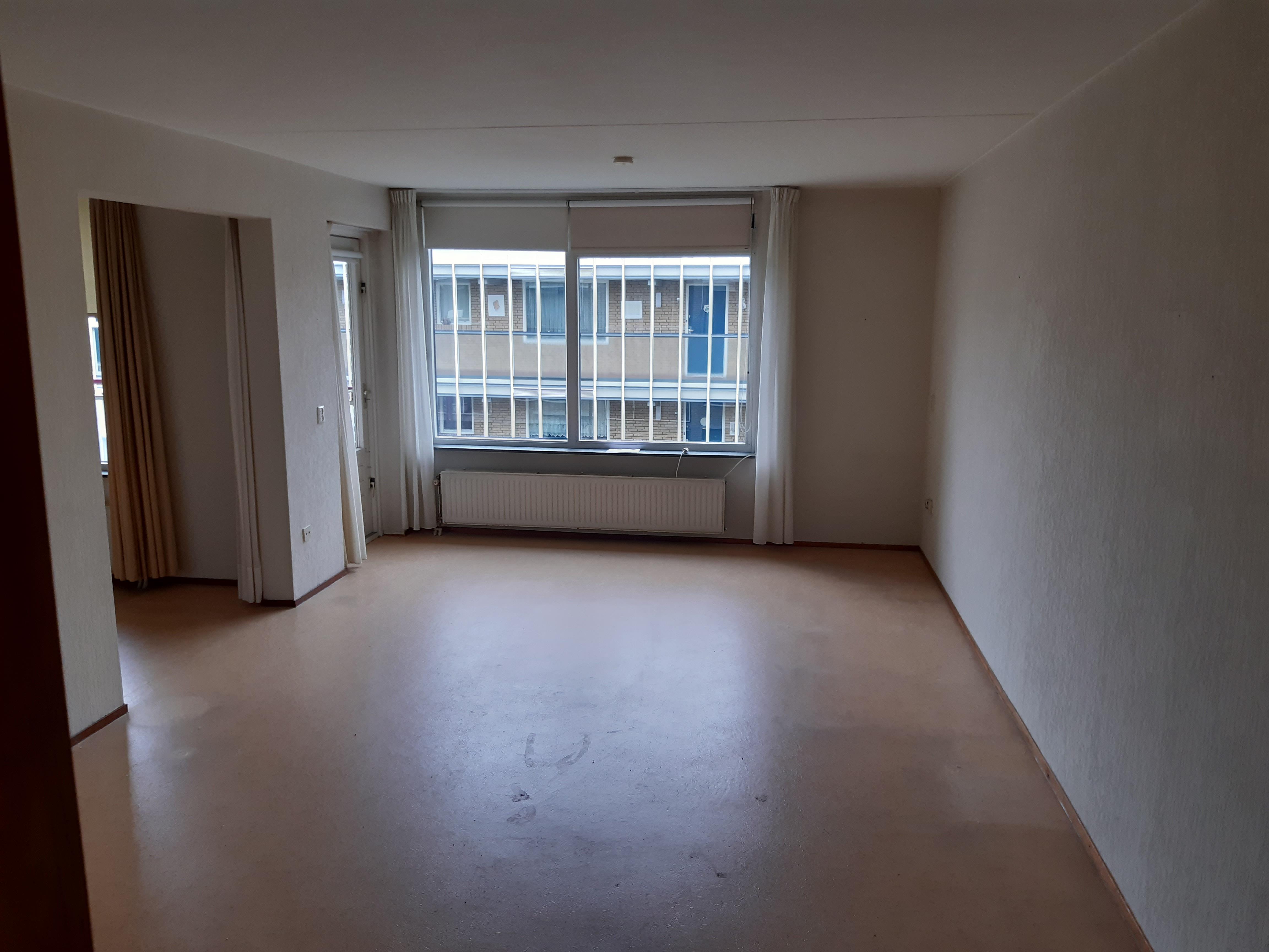 Van Het Hoffplantsoen 117